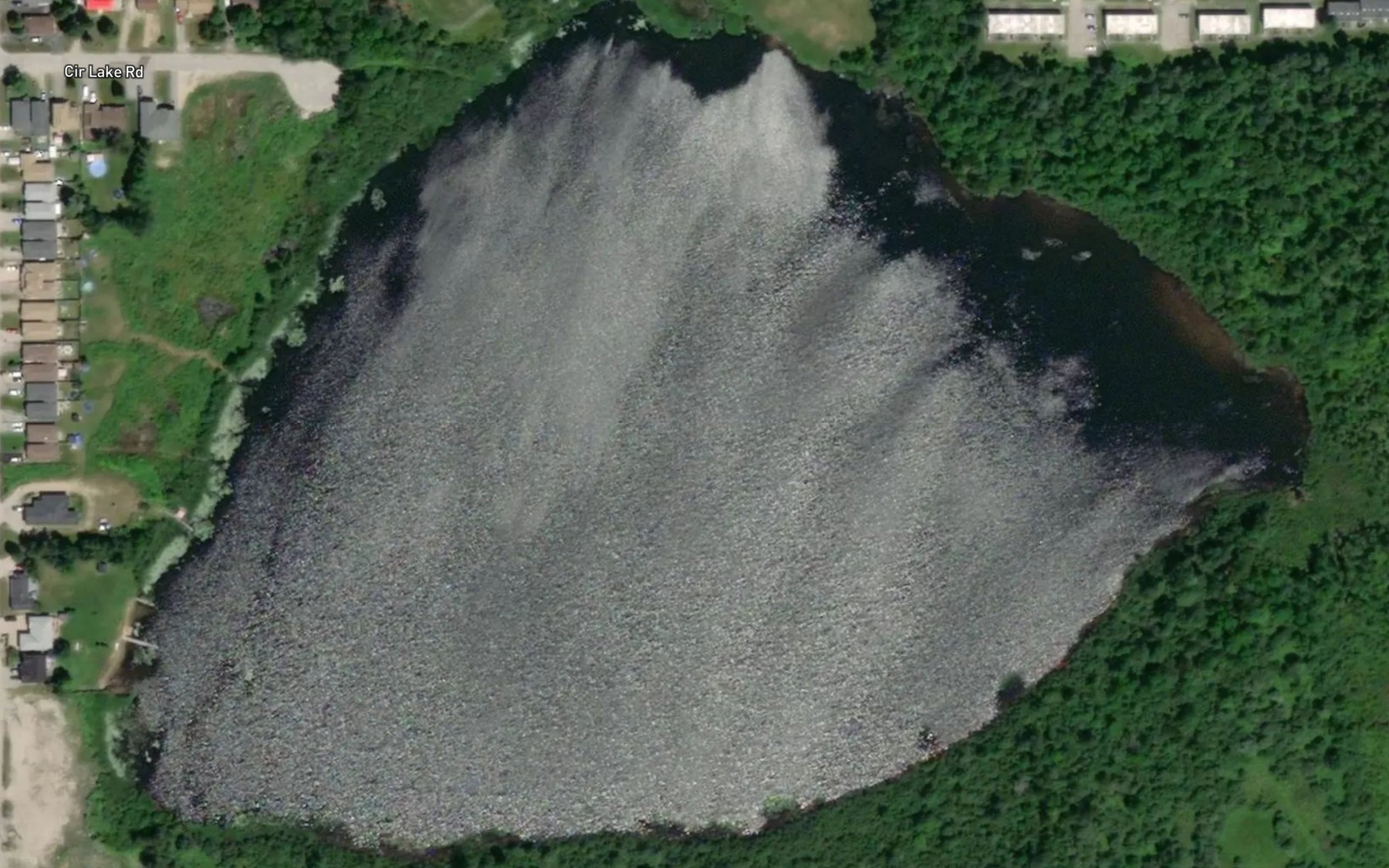 Satellite map of the Circle Lake