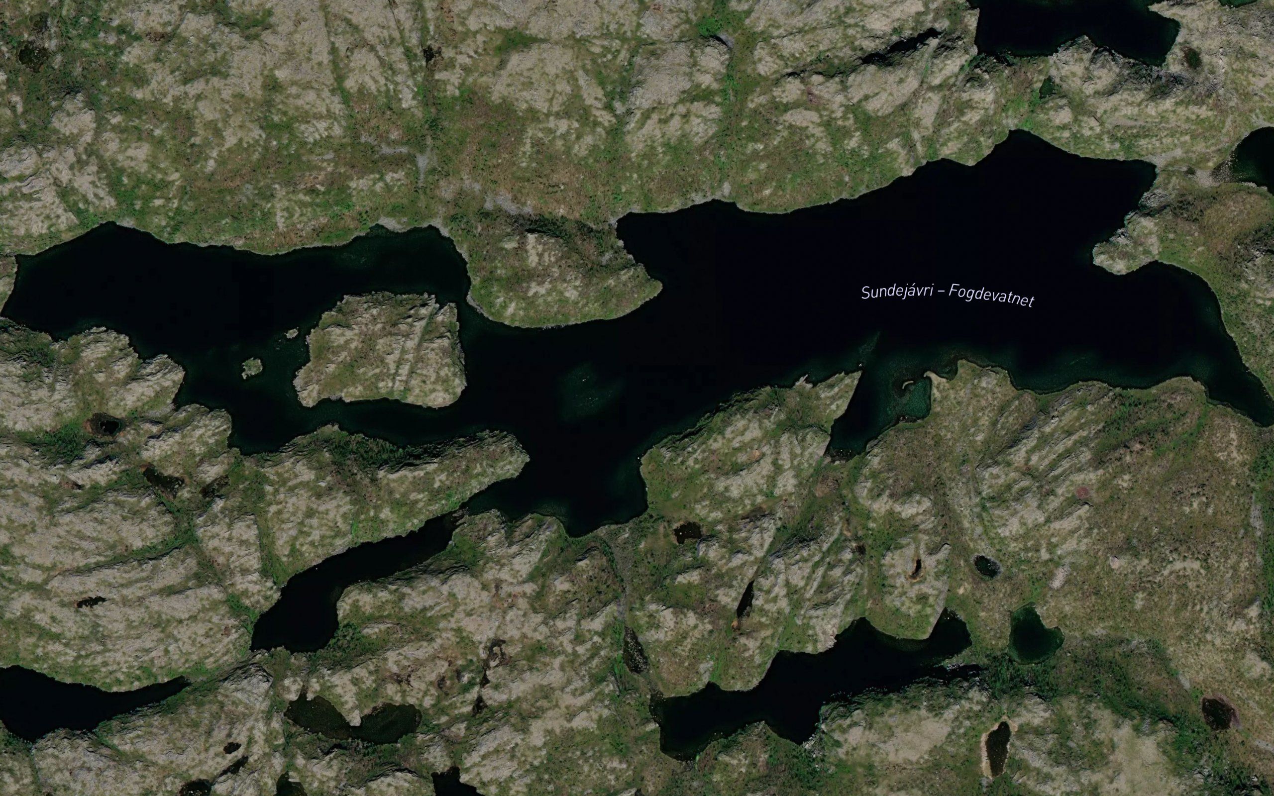 Fogdevatnet