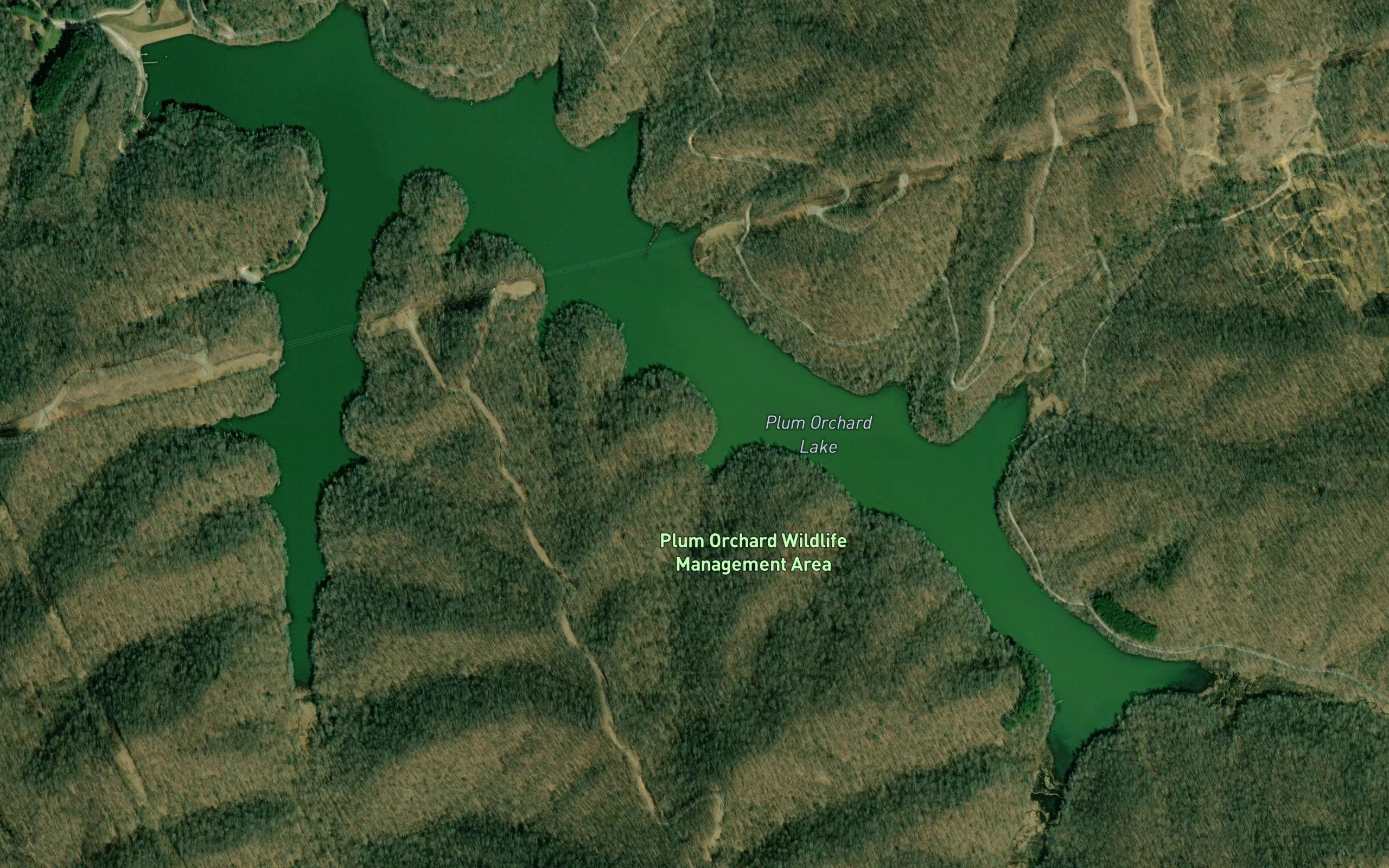 Plum Orchard Lake