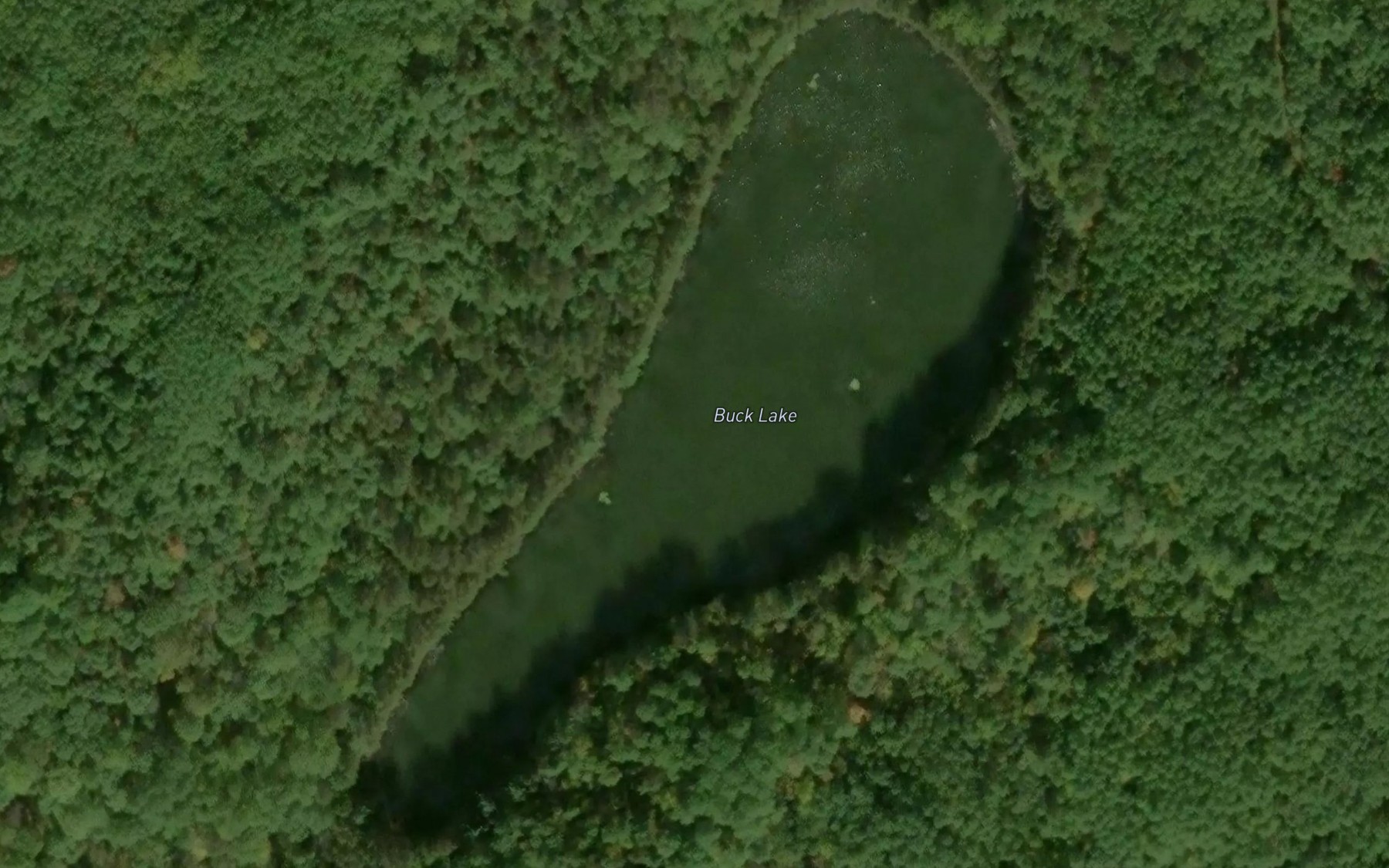 Satellite map of the Buck Lake