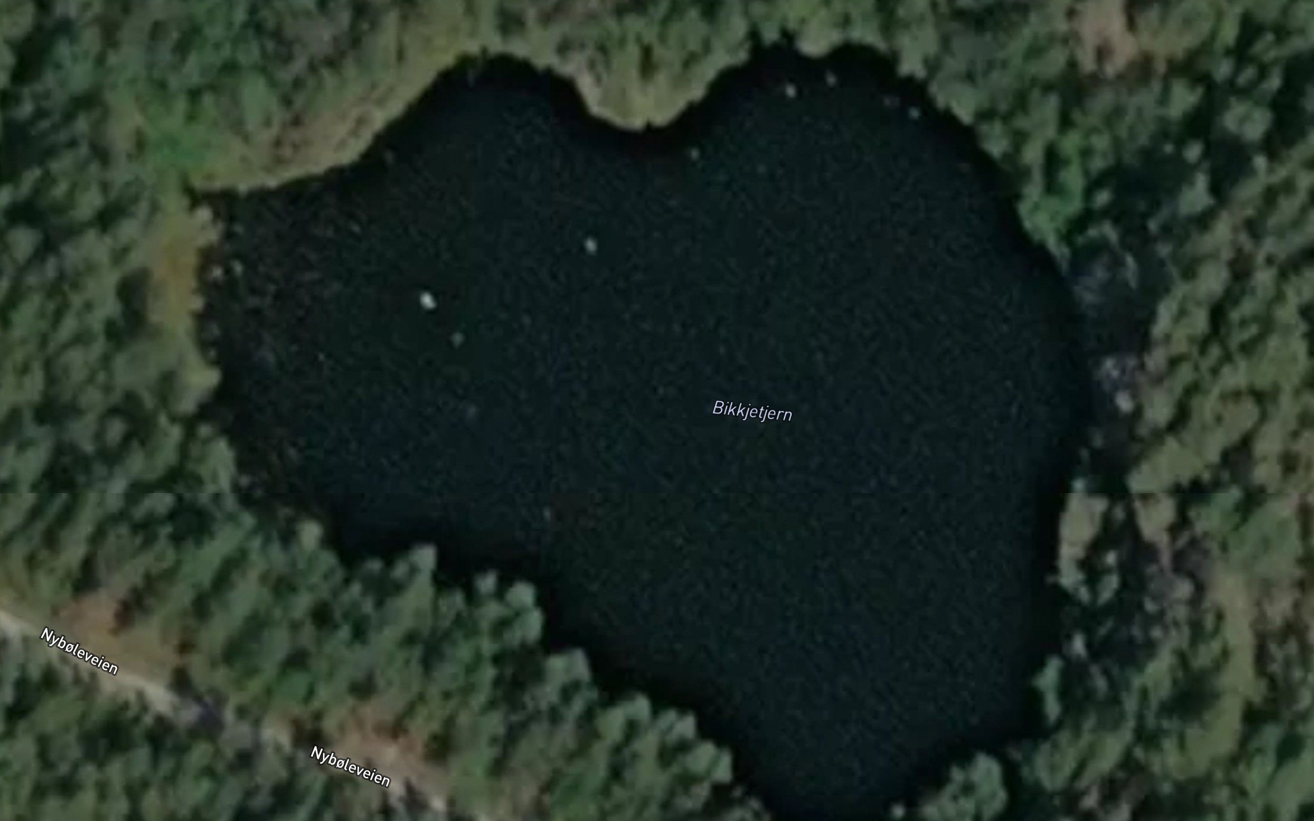 Bikkjetjern