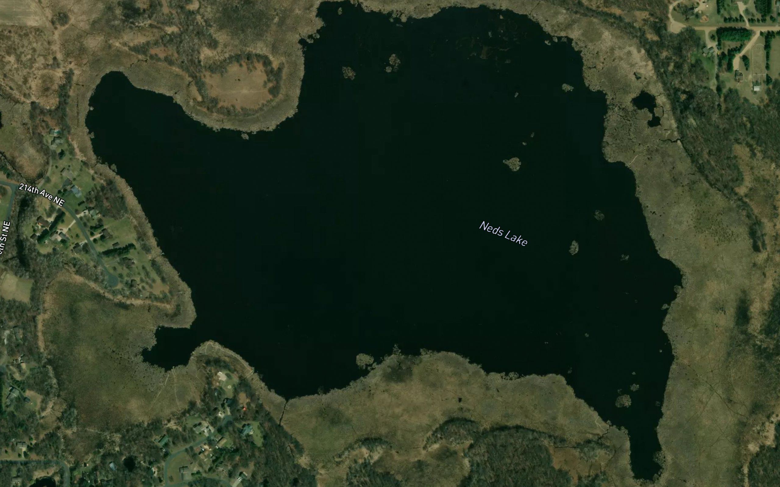 Neds Lake