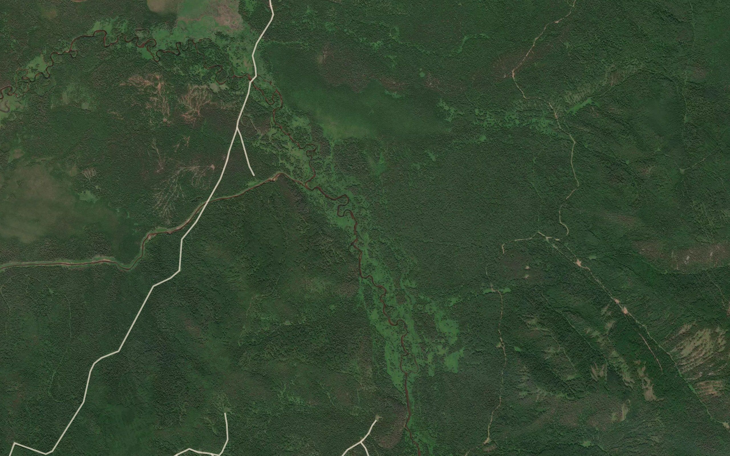 Pikhtovaya