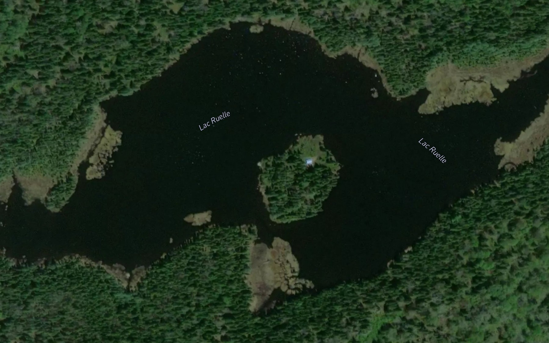 Satellite map of the Lac Ruelle