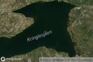 Kringlesjaen