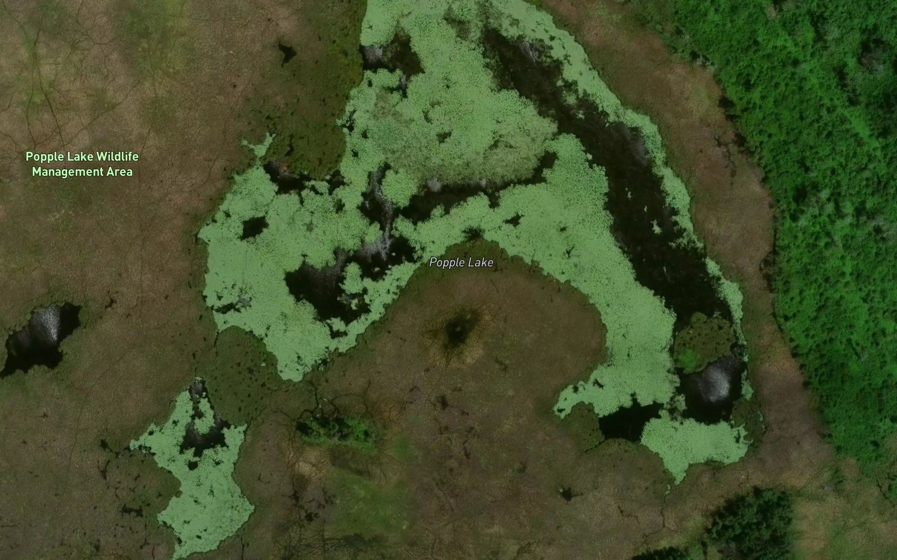 Satellite map of the Popple Lake