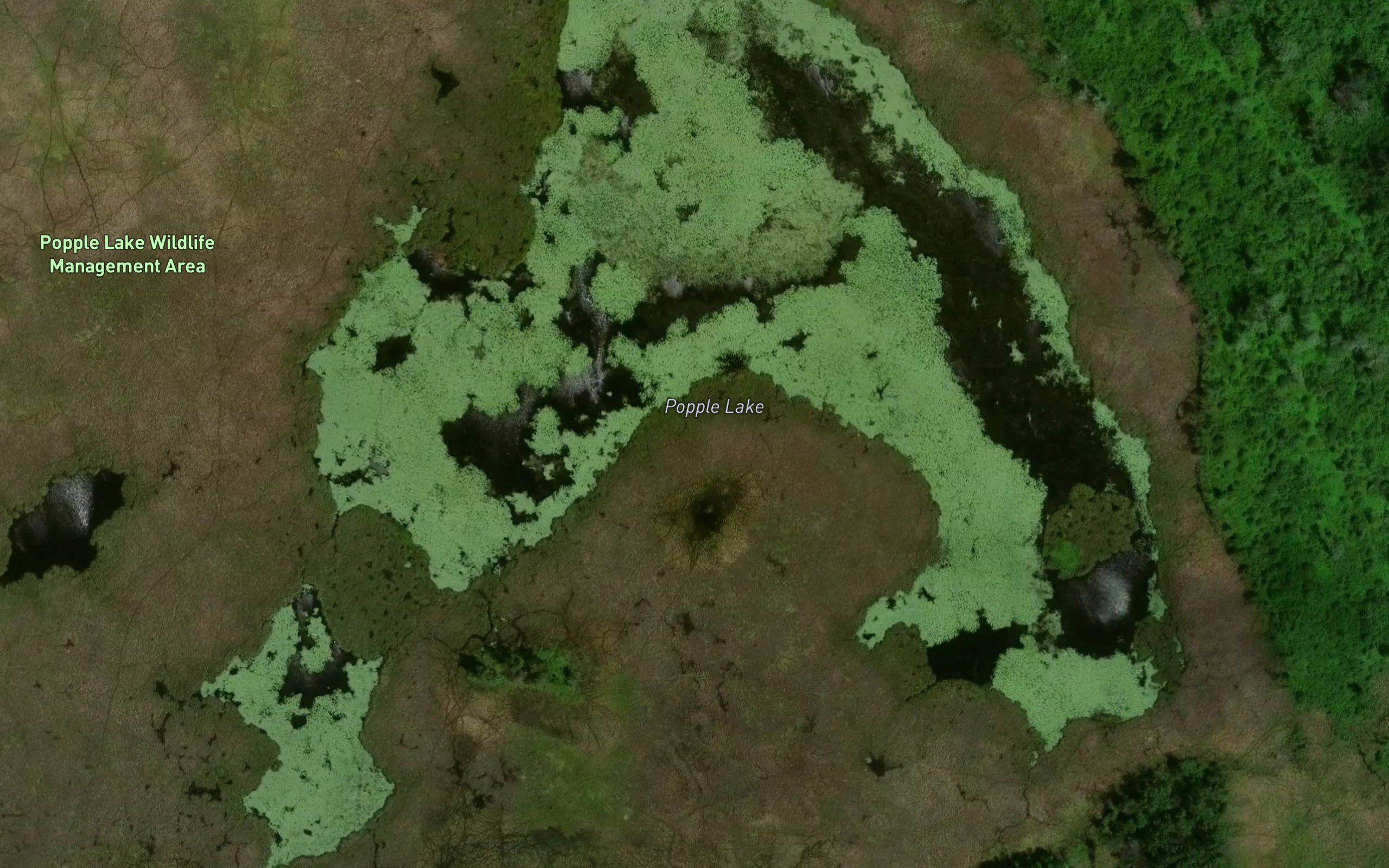 Popple Lake