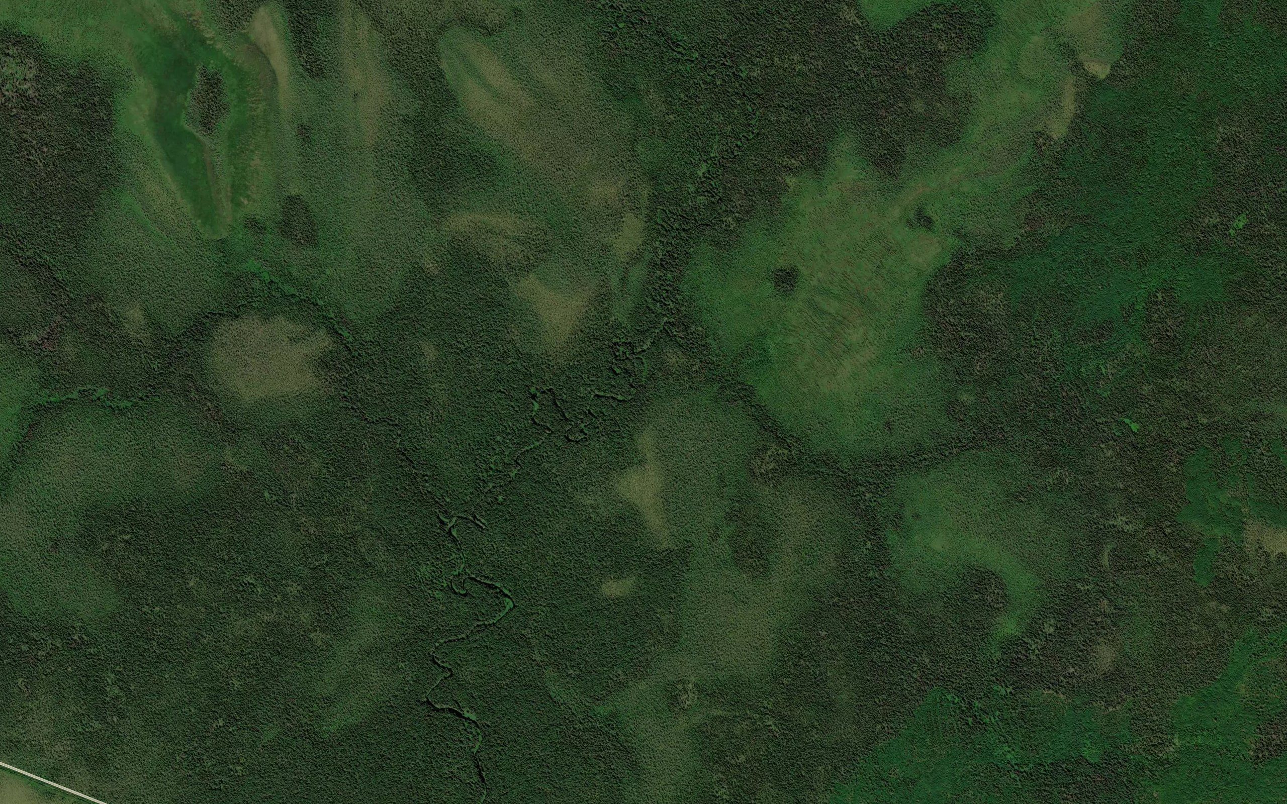 Takula