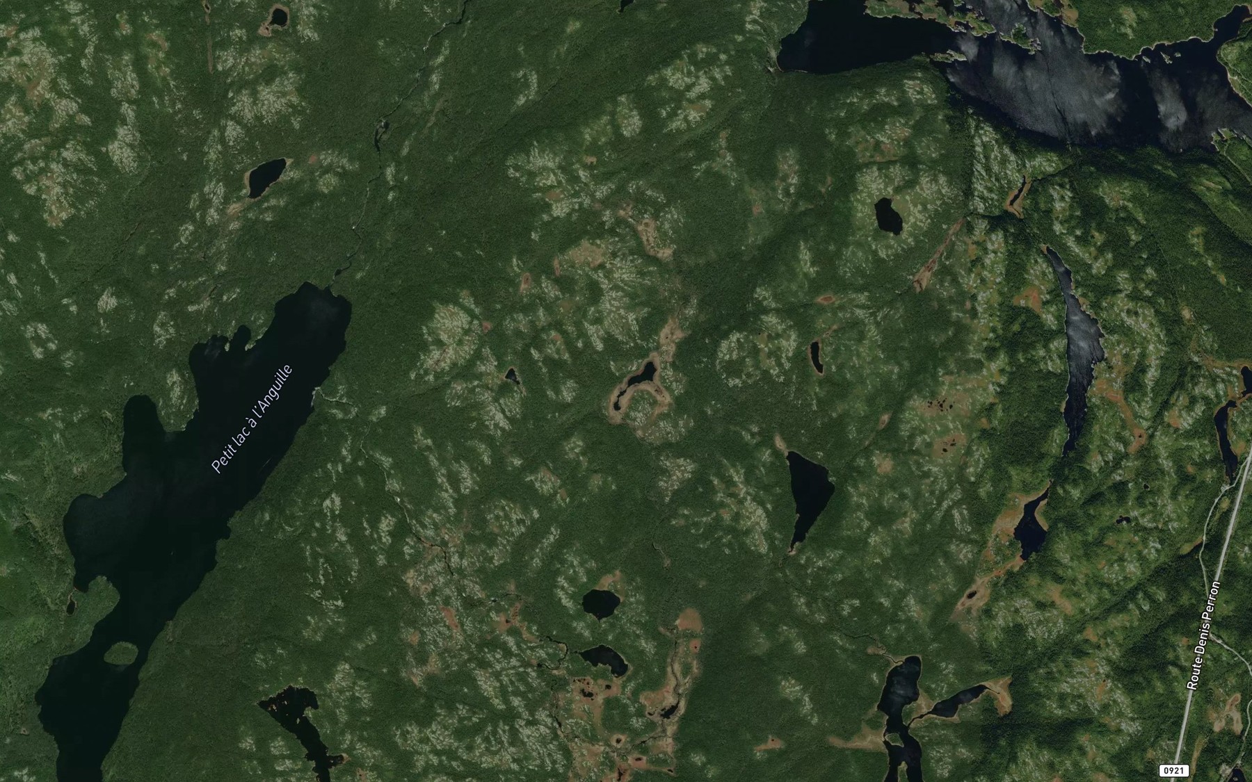 Satellite map of the Lac Petitjean