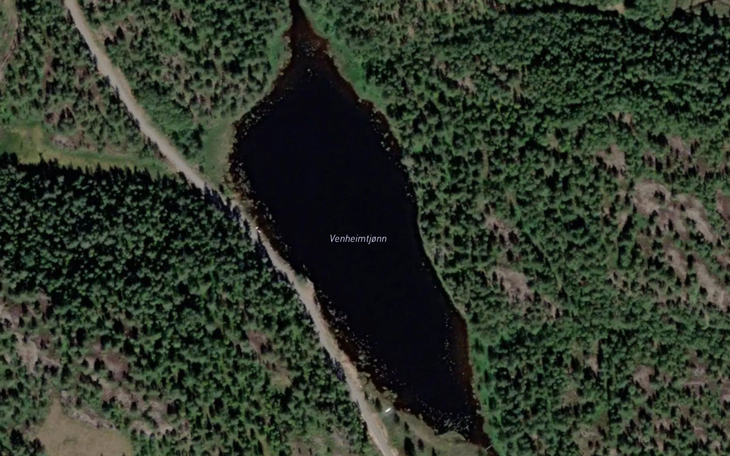 Venheimtjorna