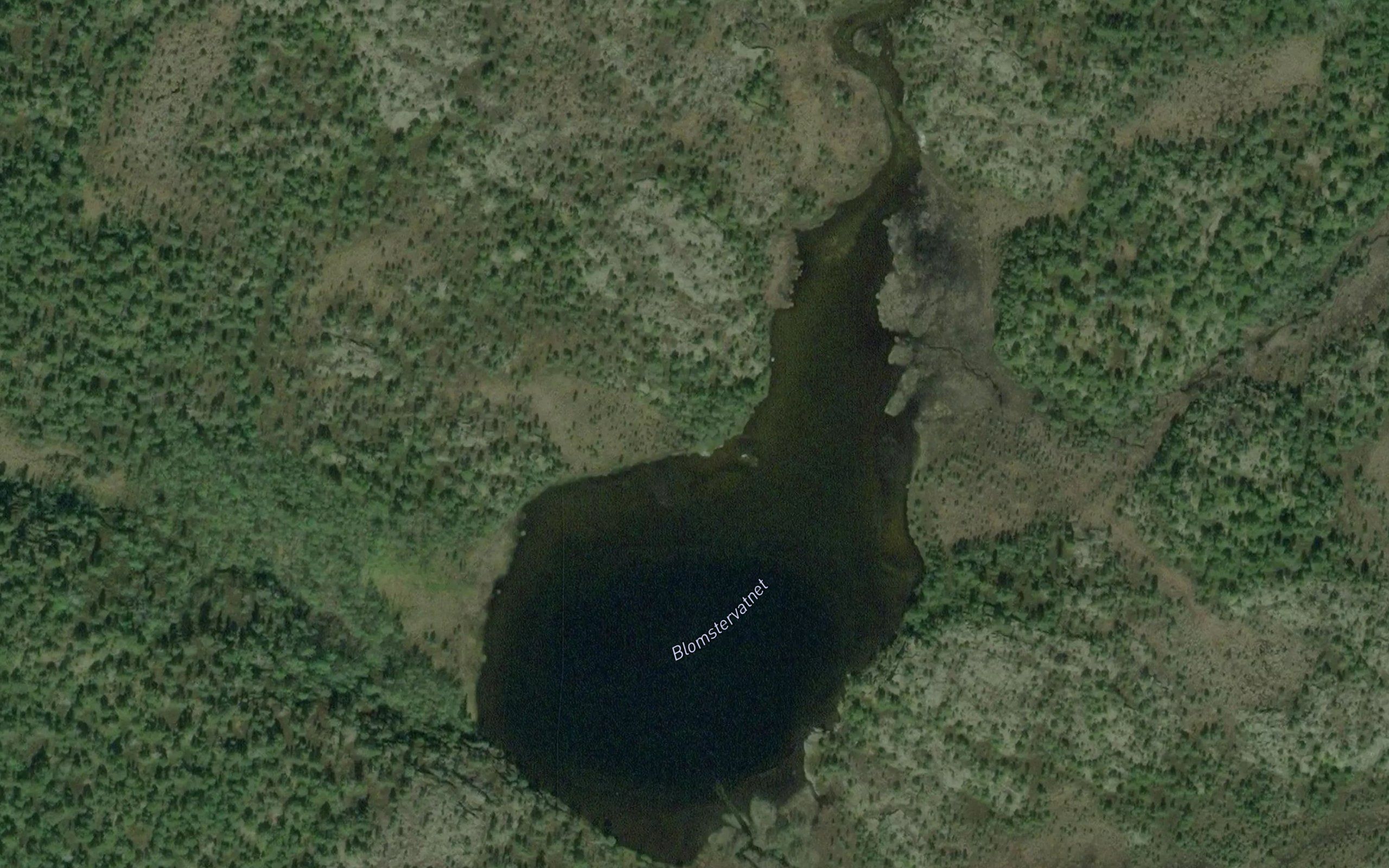 Blomstervatnet