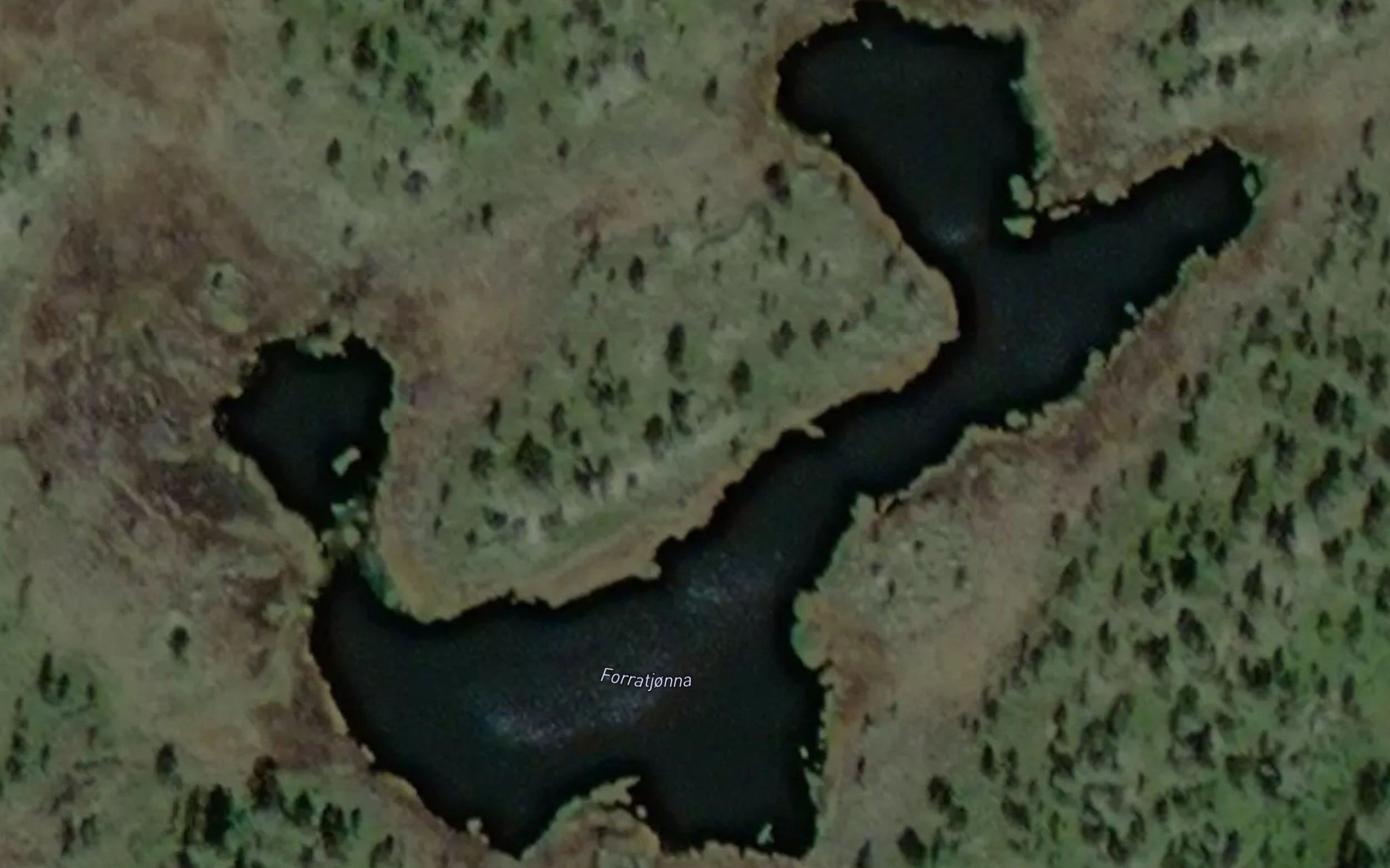 Forratjonna