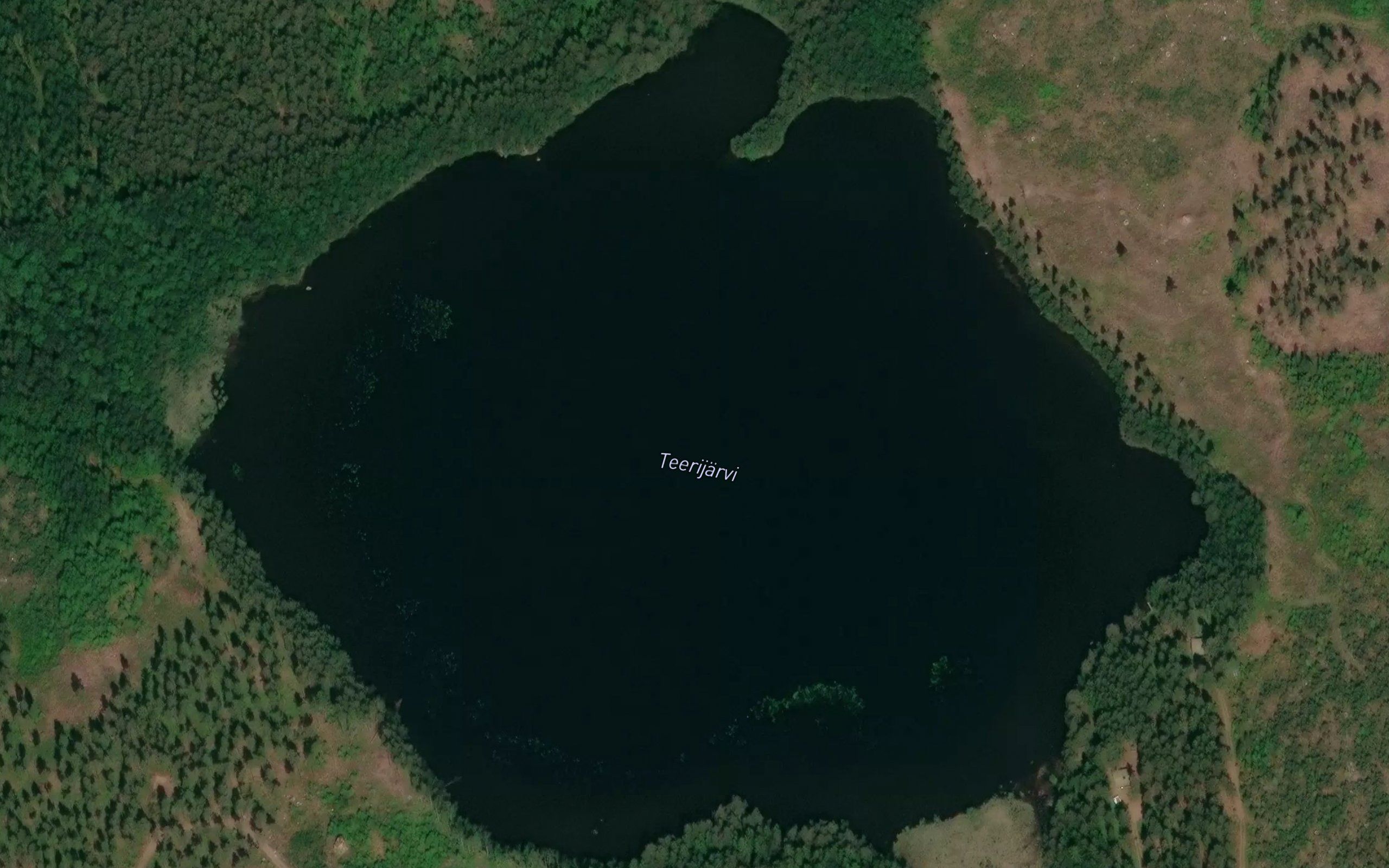 Orrtrasket
