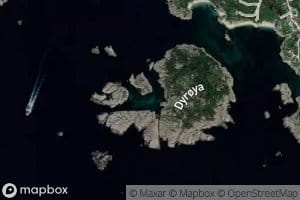 Dyroyhamn