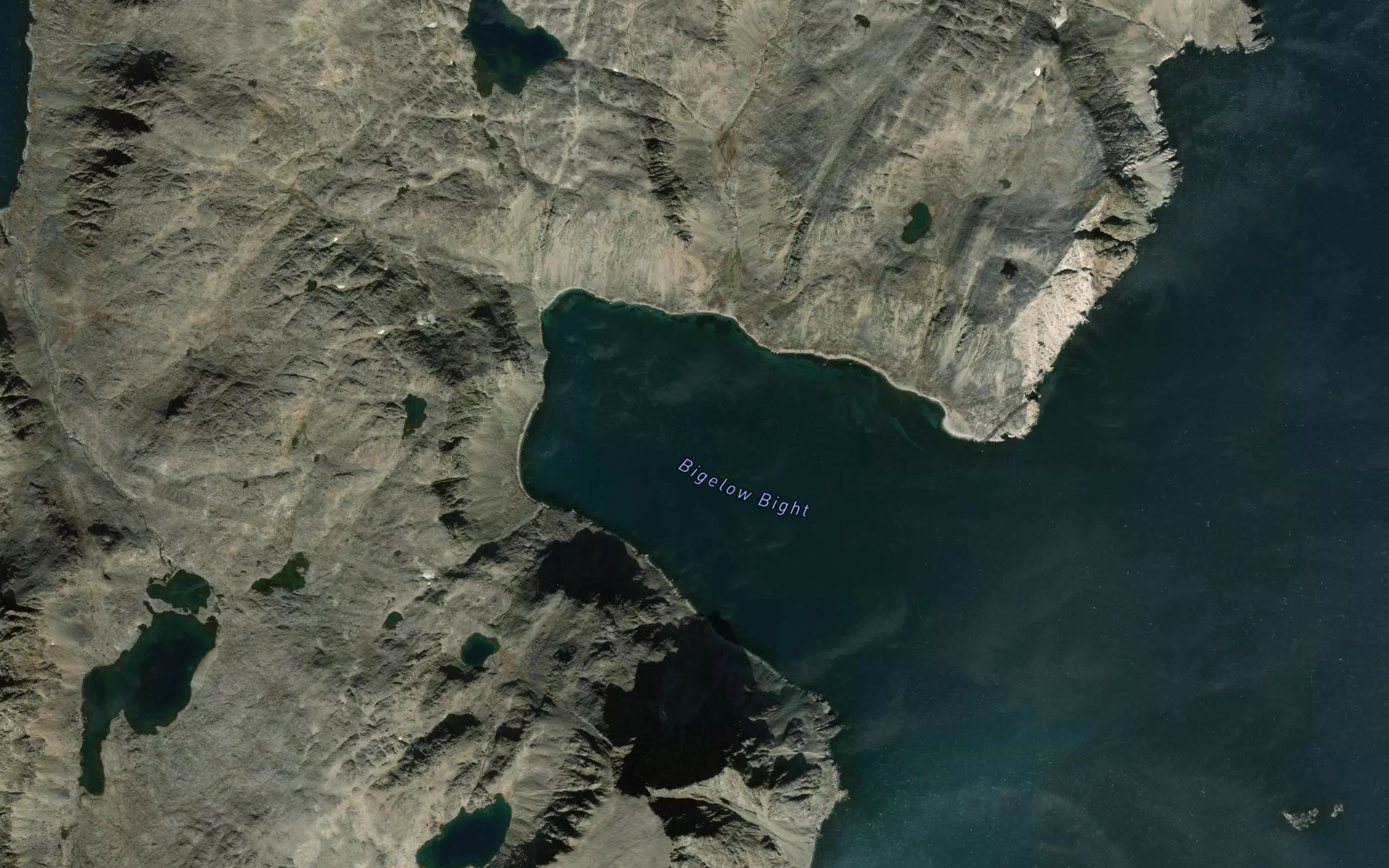 Bigelow Bight