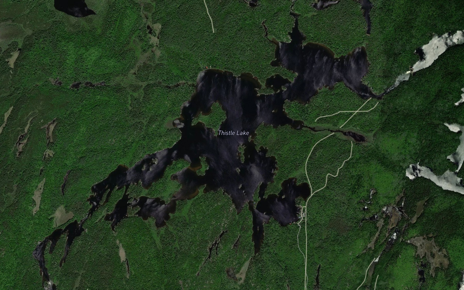 Satellite map of the Thistle Lake