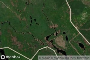 Tamarack Brook