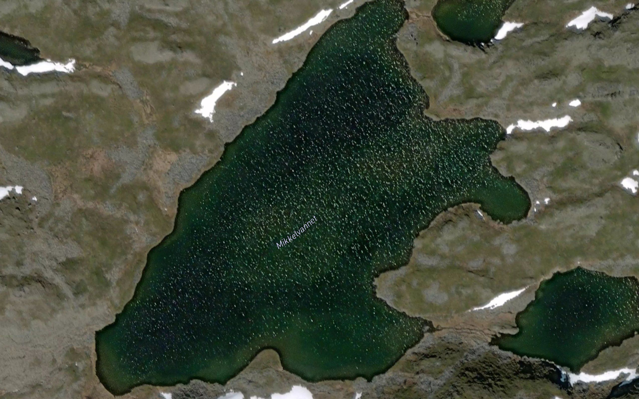 Mikkelvatnet