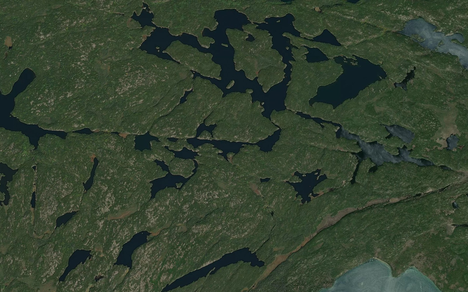 Satellite map of the Gooseneck Lake