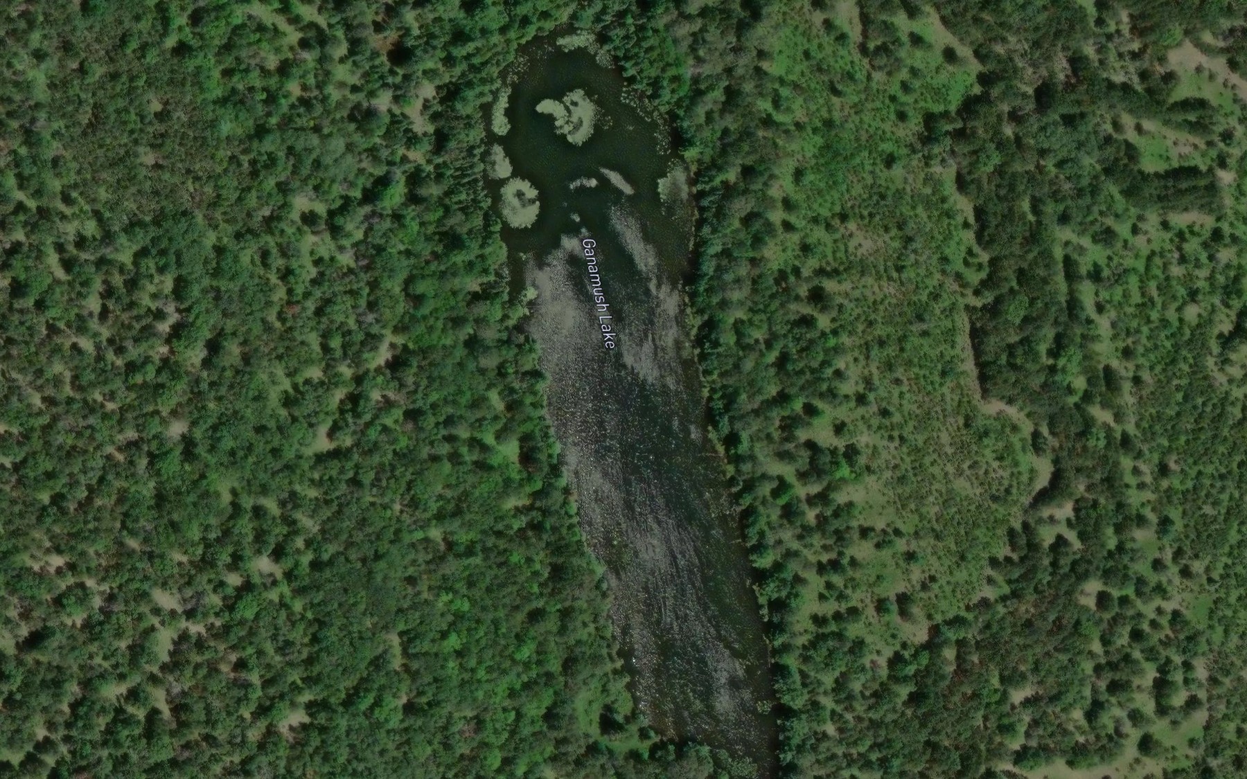 Satellite map of the Ganamush Lake