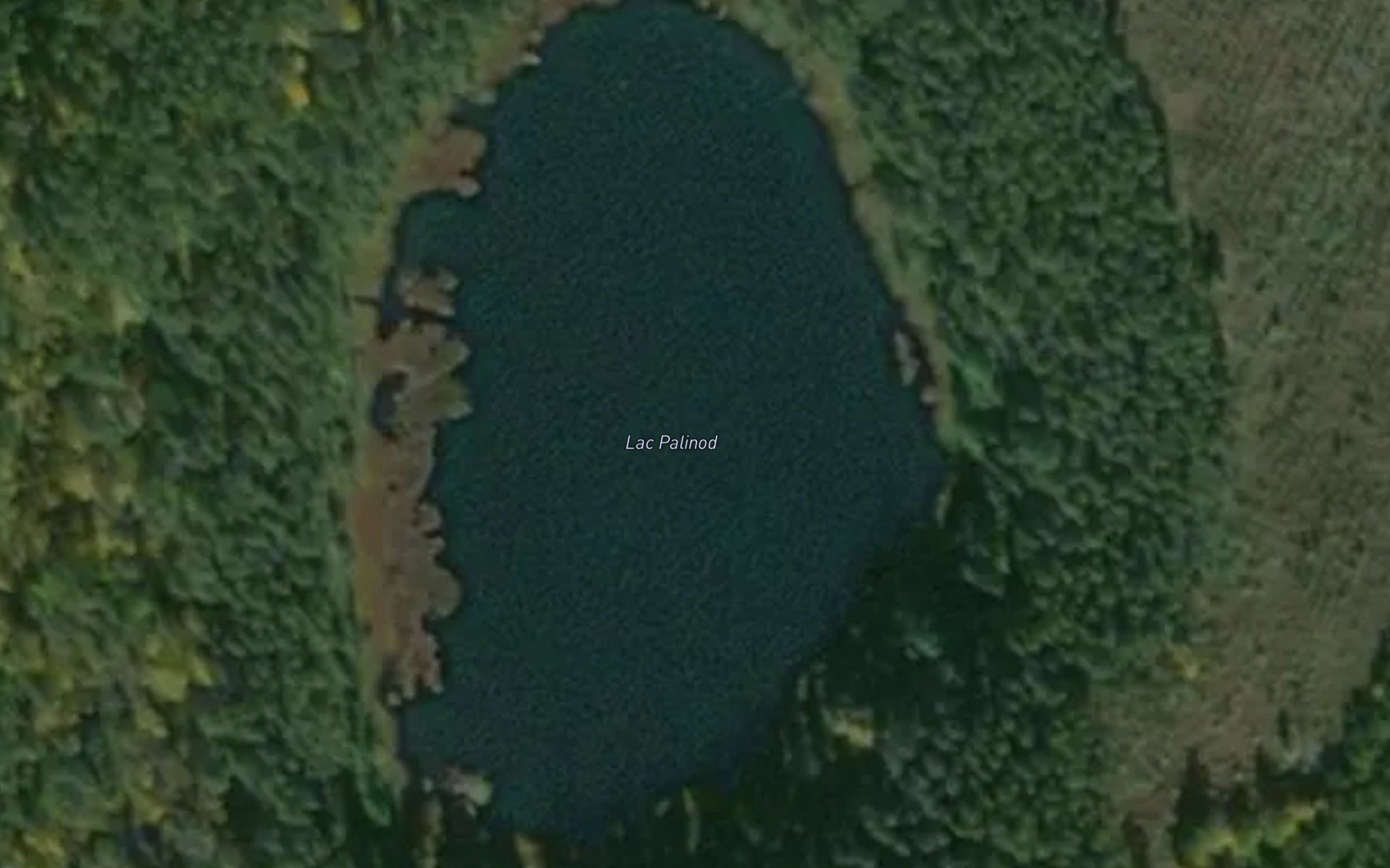 Lac Palinod