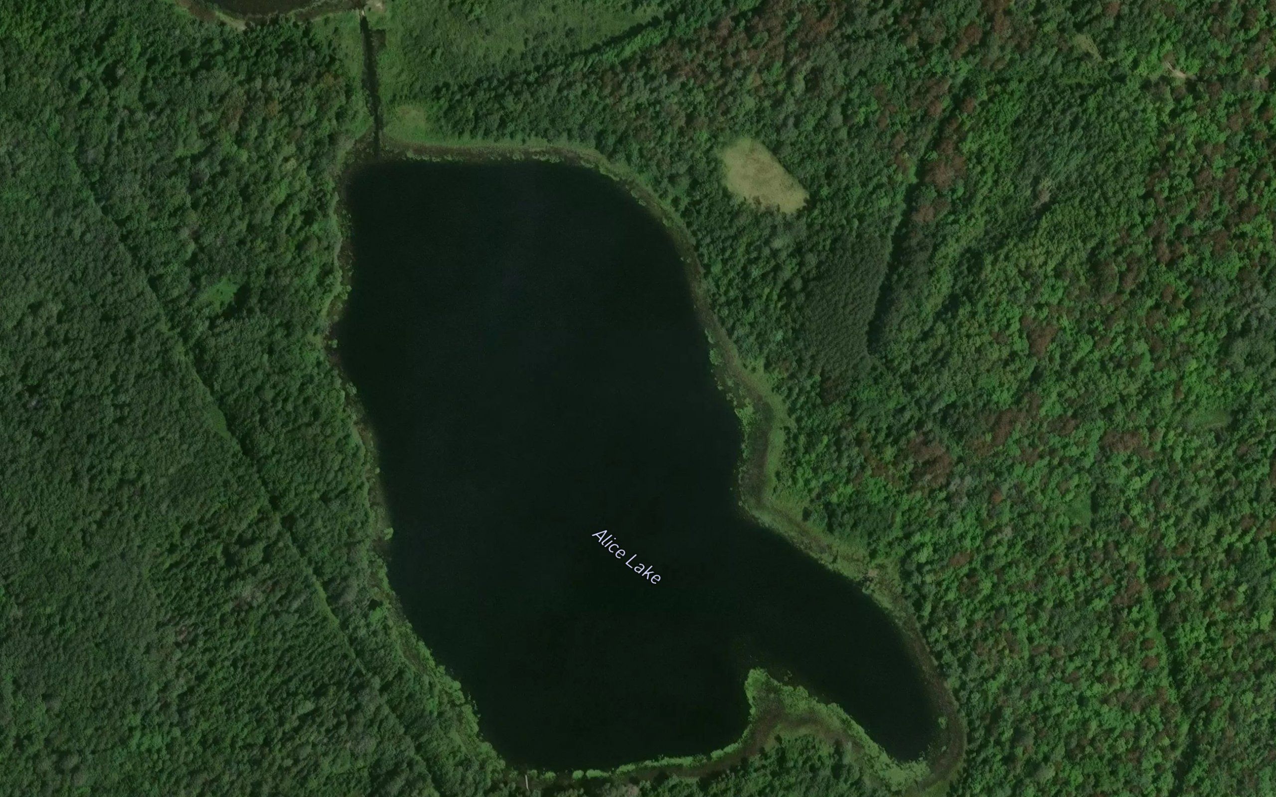 Alice Lake