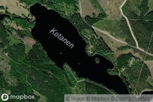Kotanen
