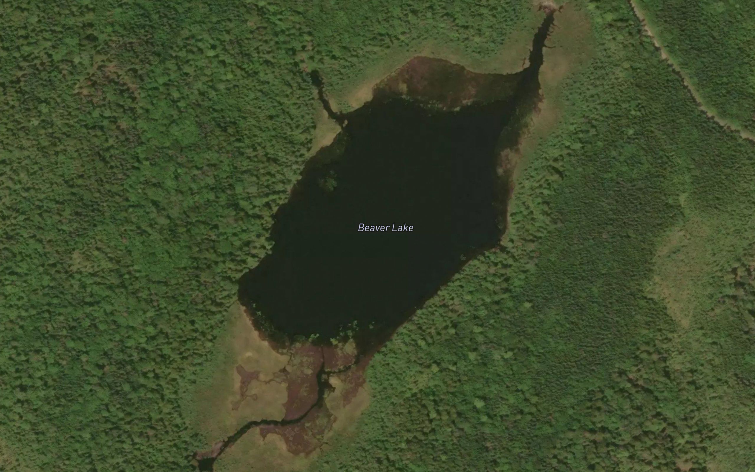 Beaver Lake