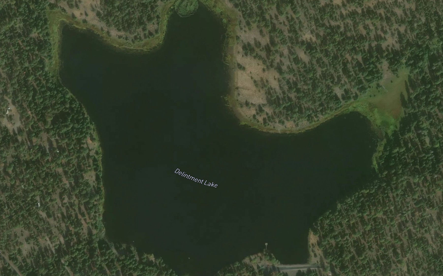 Satellite map of the Delintment Lake