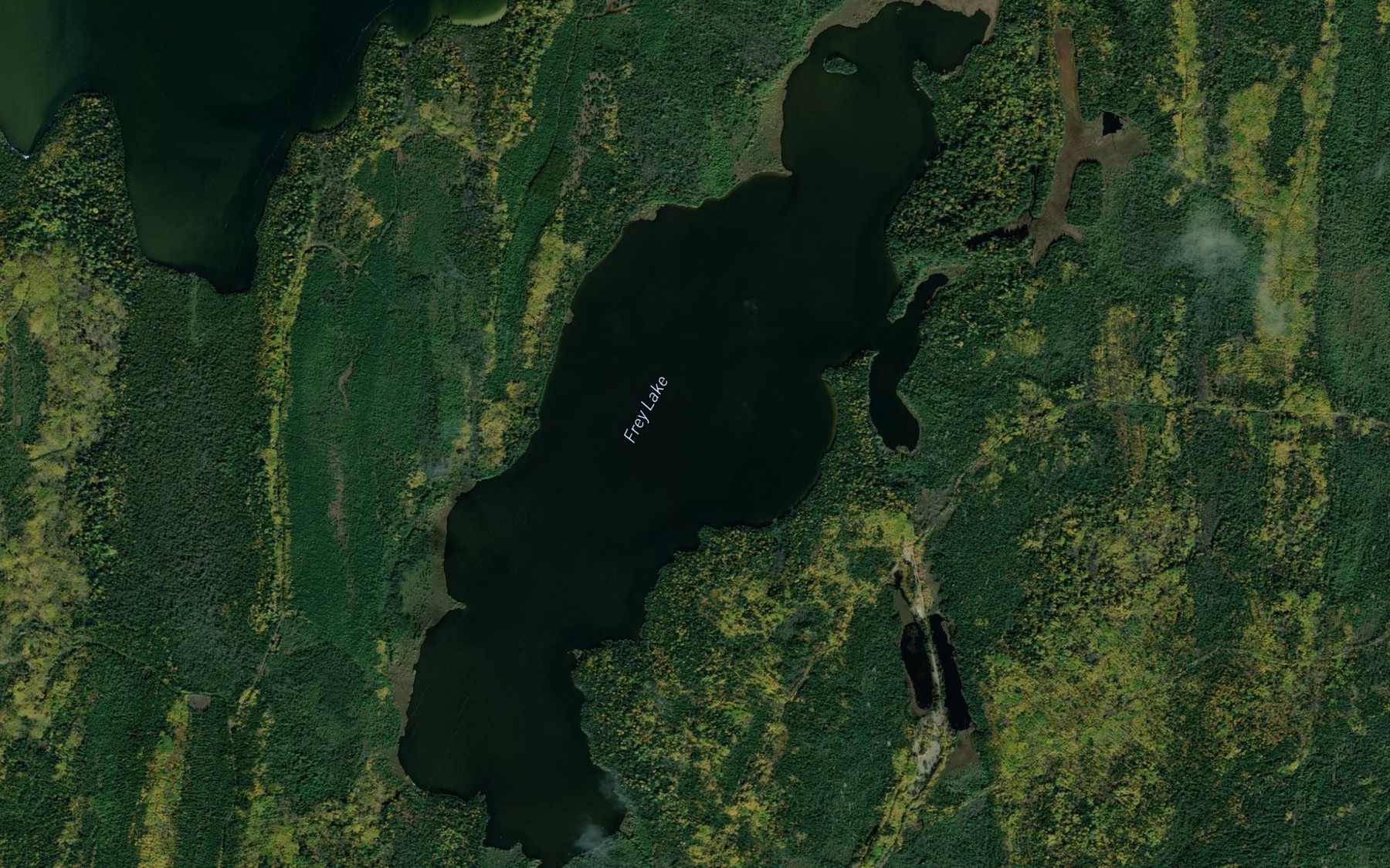 Satellite map of the Frey Lake