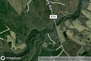 Woody Creek