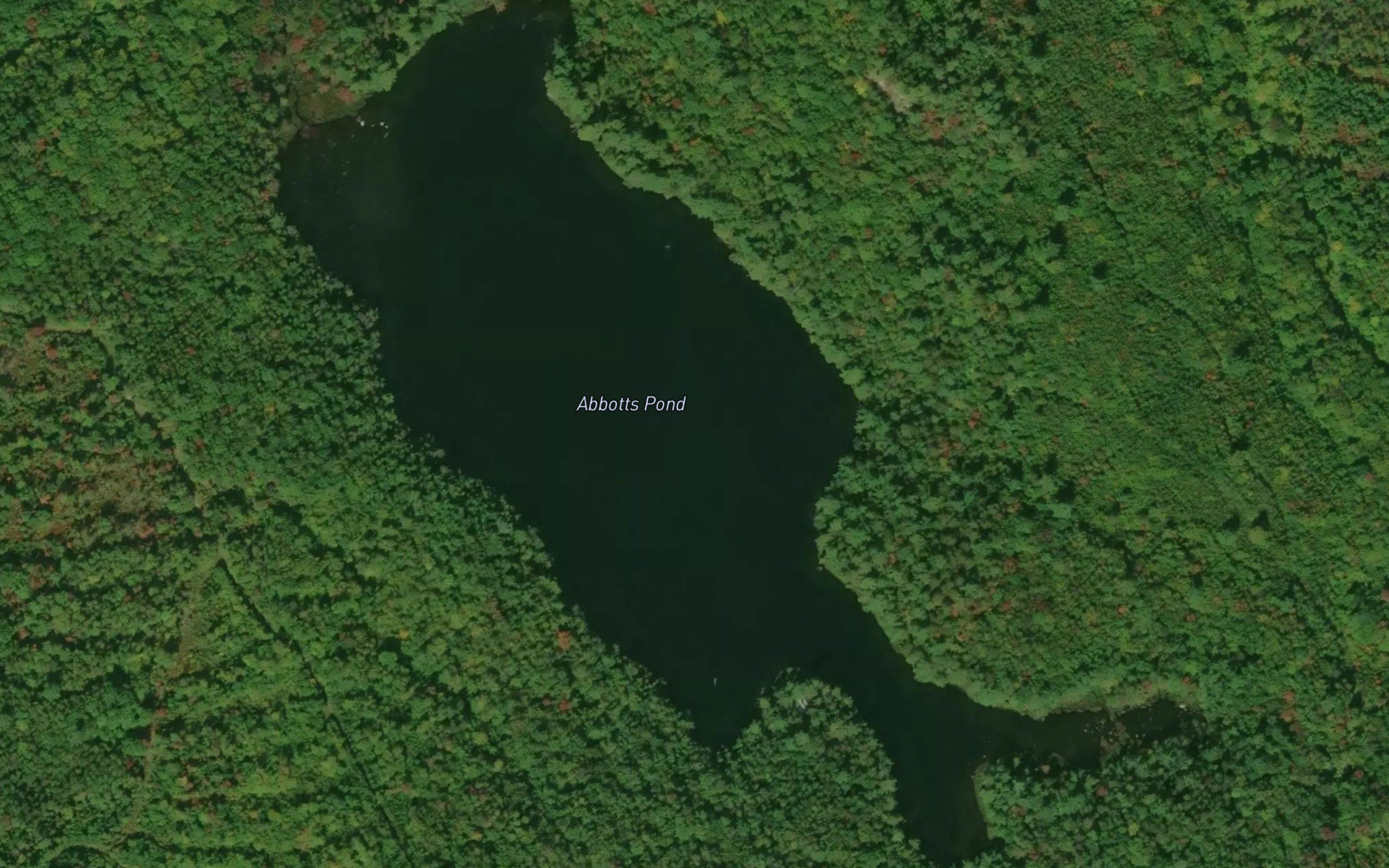 Abbotts Pond