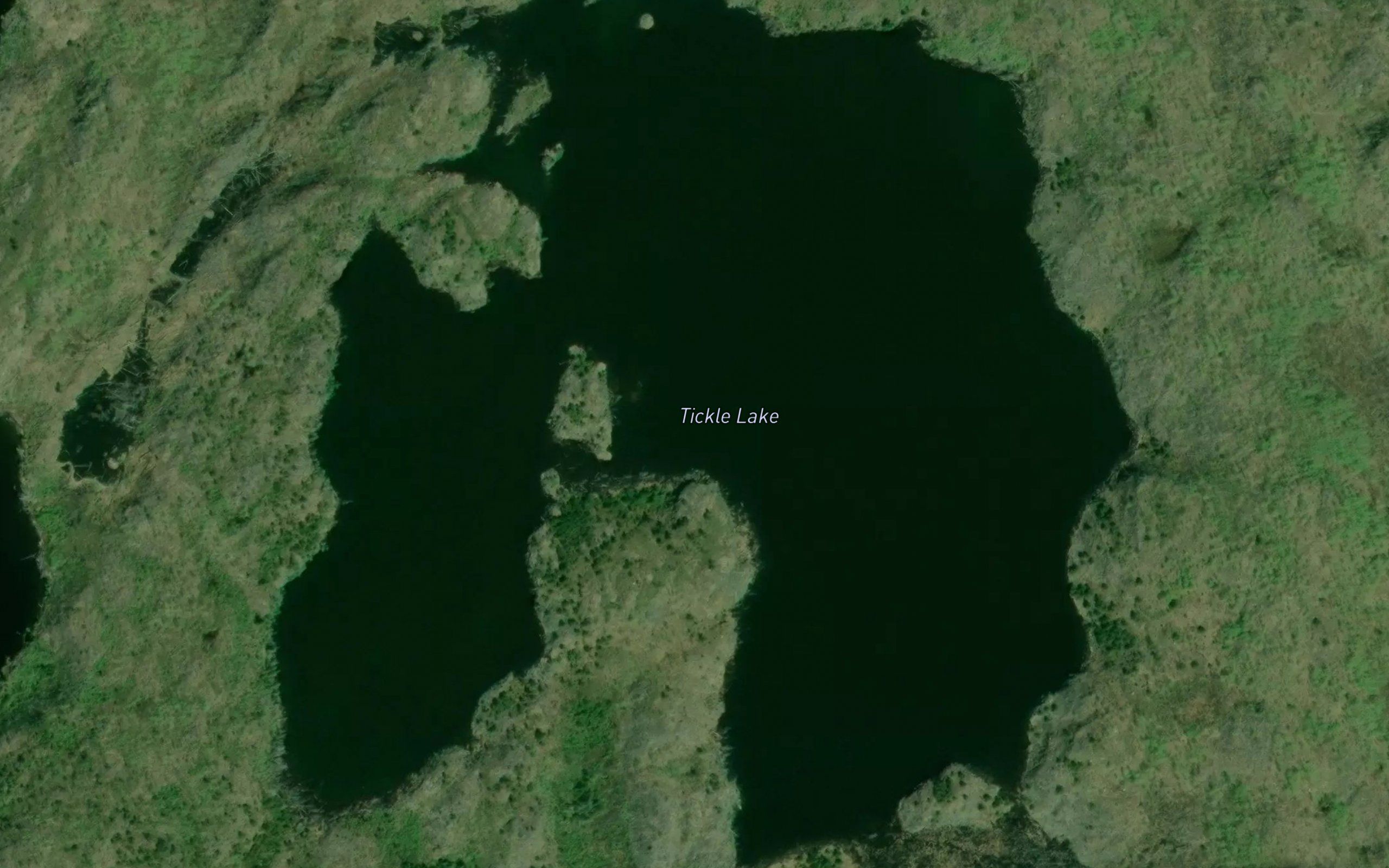 Tickle Lake