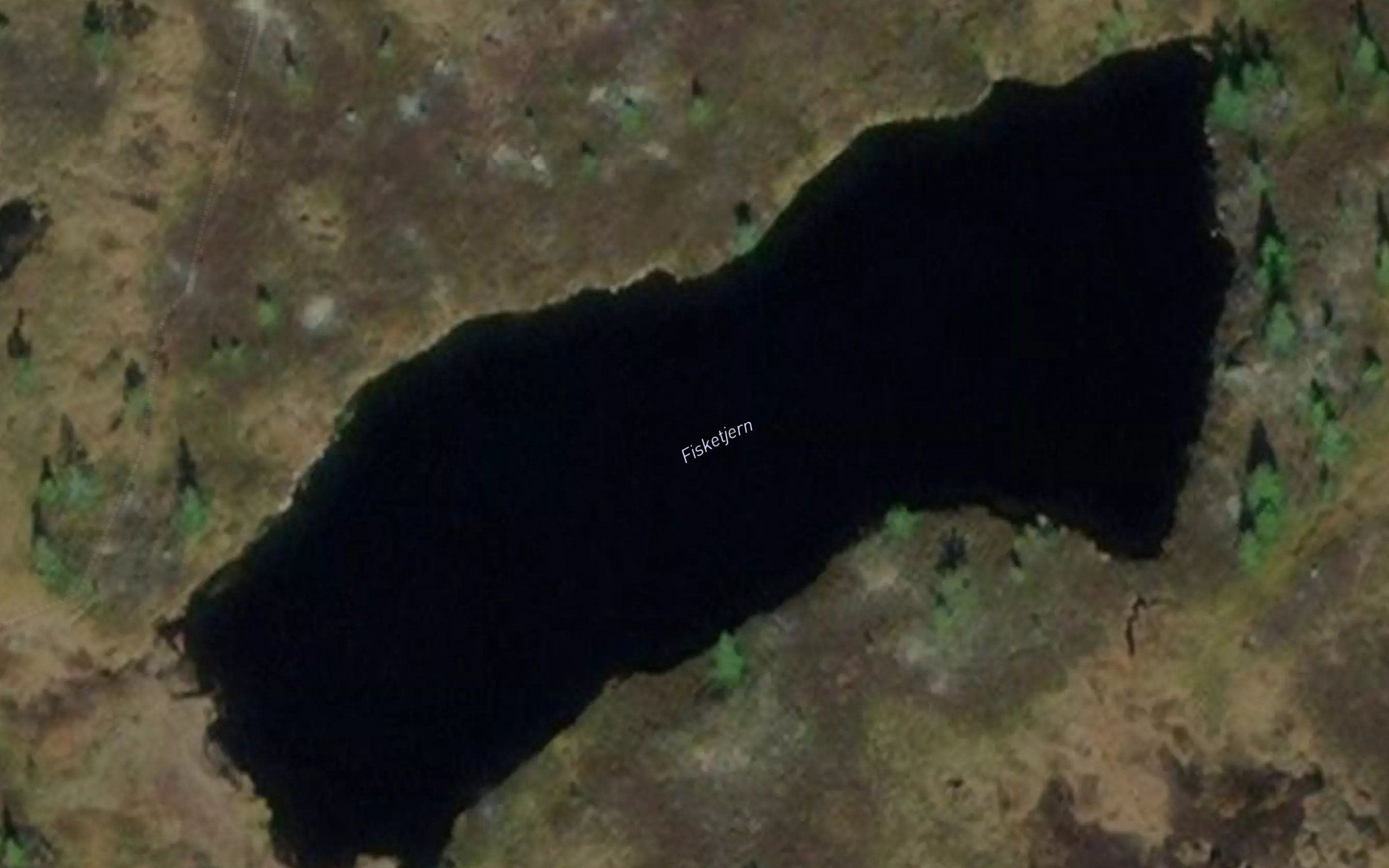 Fisketjern