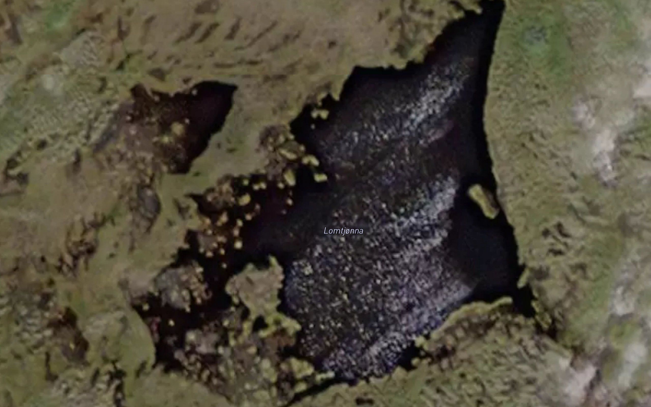 Lomtjorna