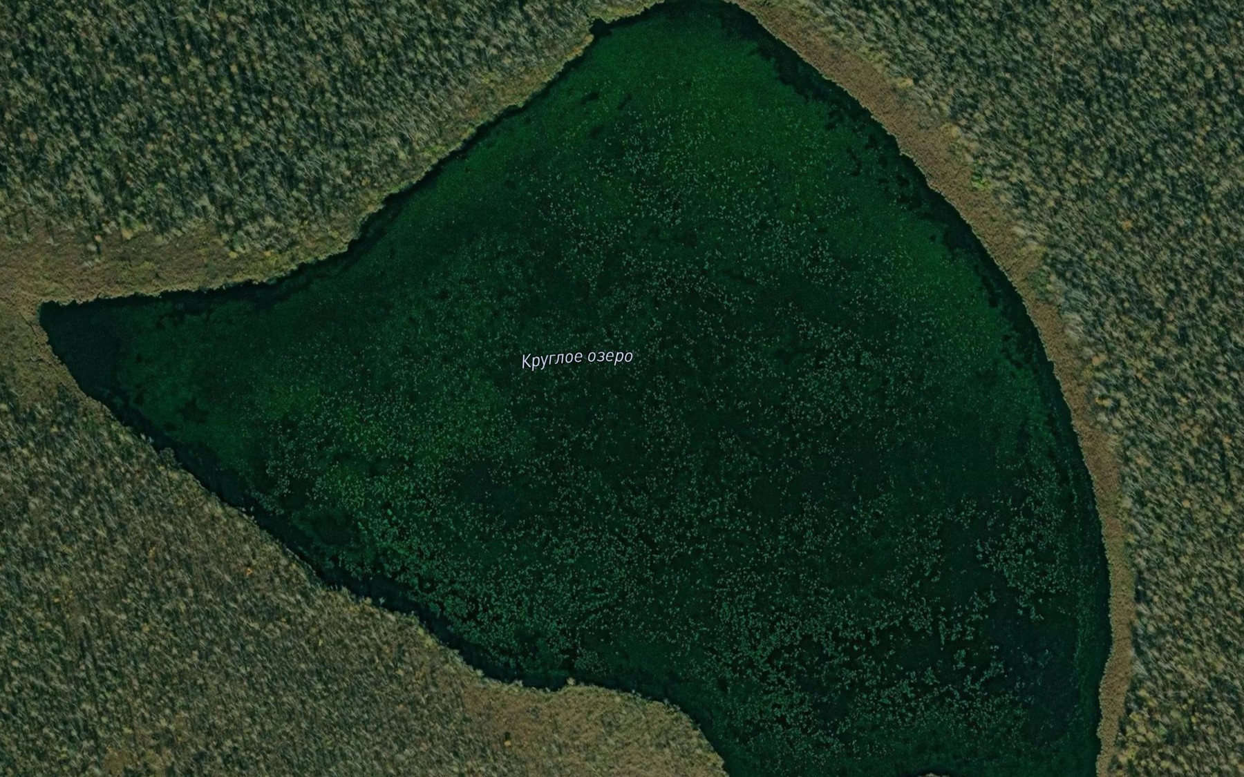 Satellite map of the Ozero Krugloye