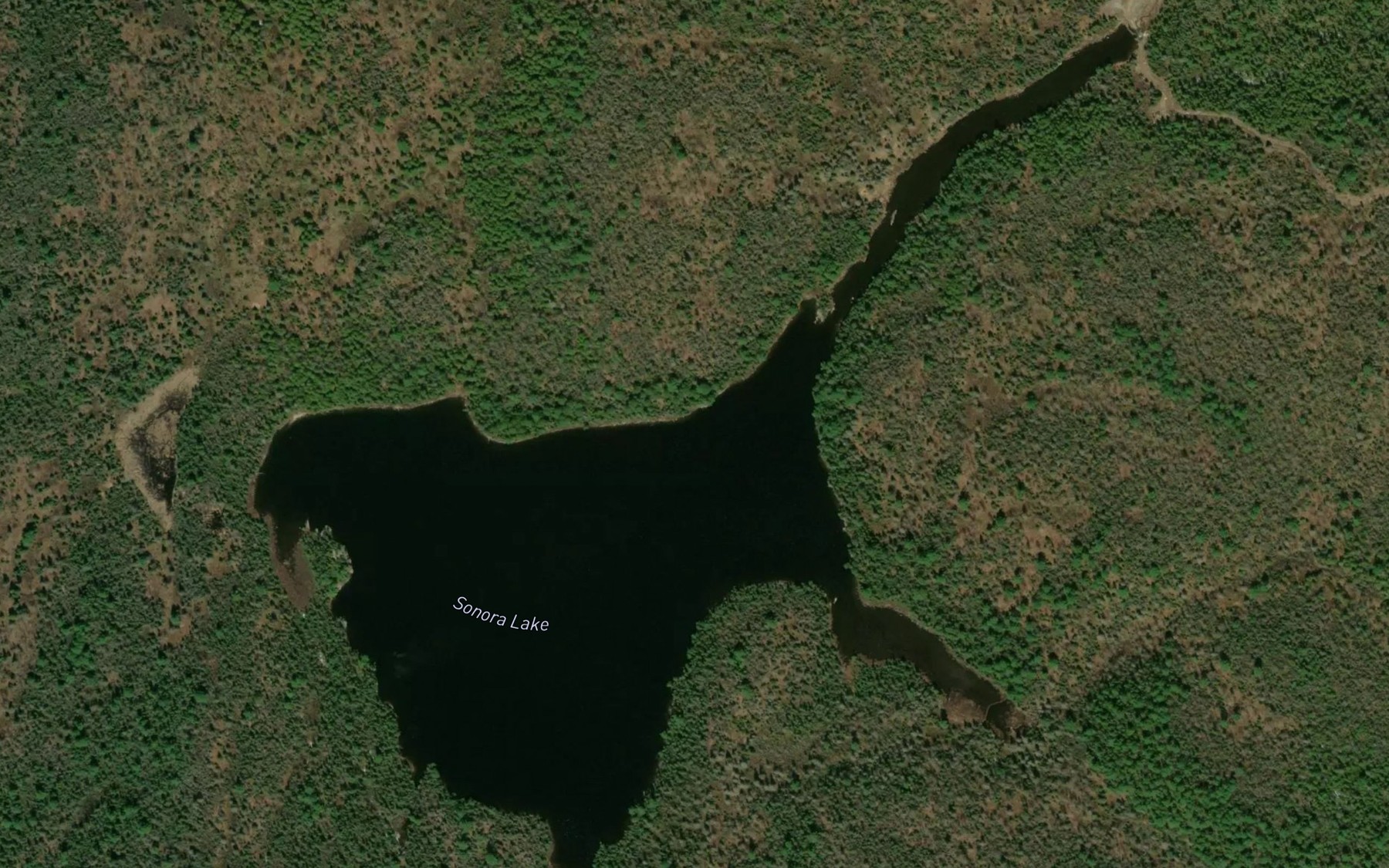 Satellite map of the Sonora Lake