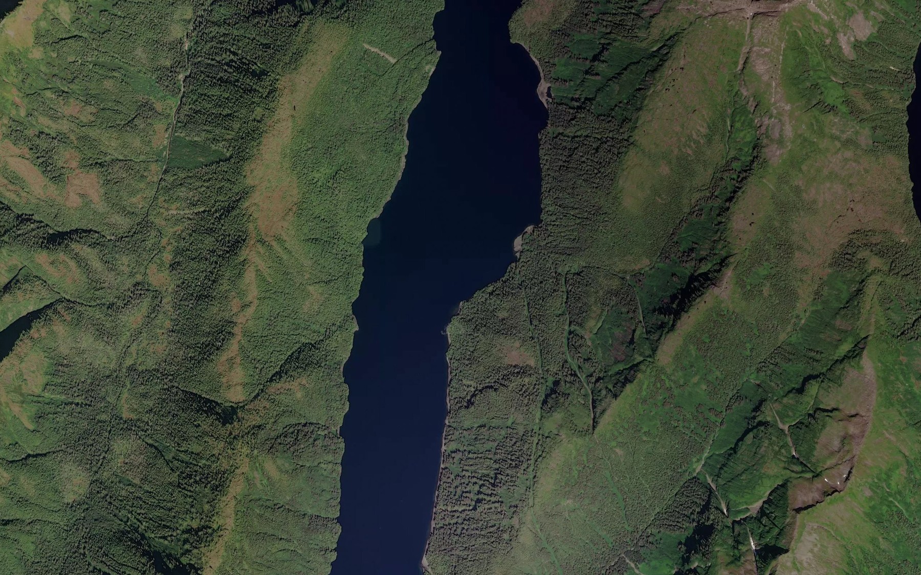 Satellite map of the Small Arm