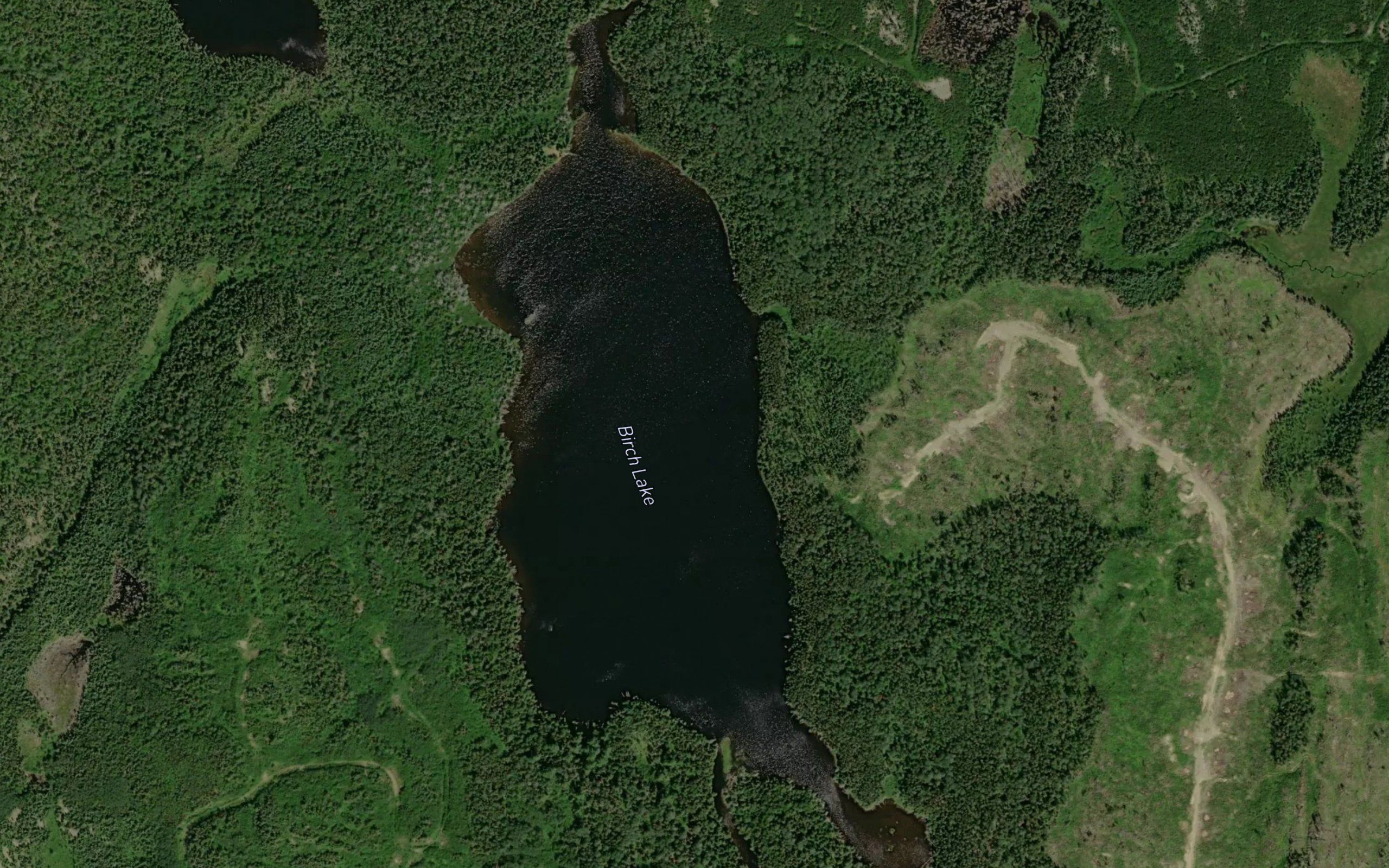 Birch Lake