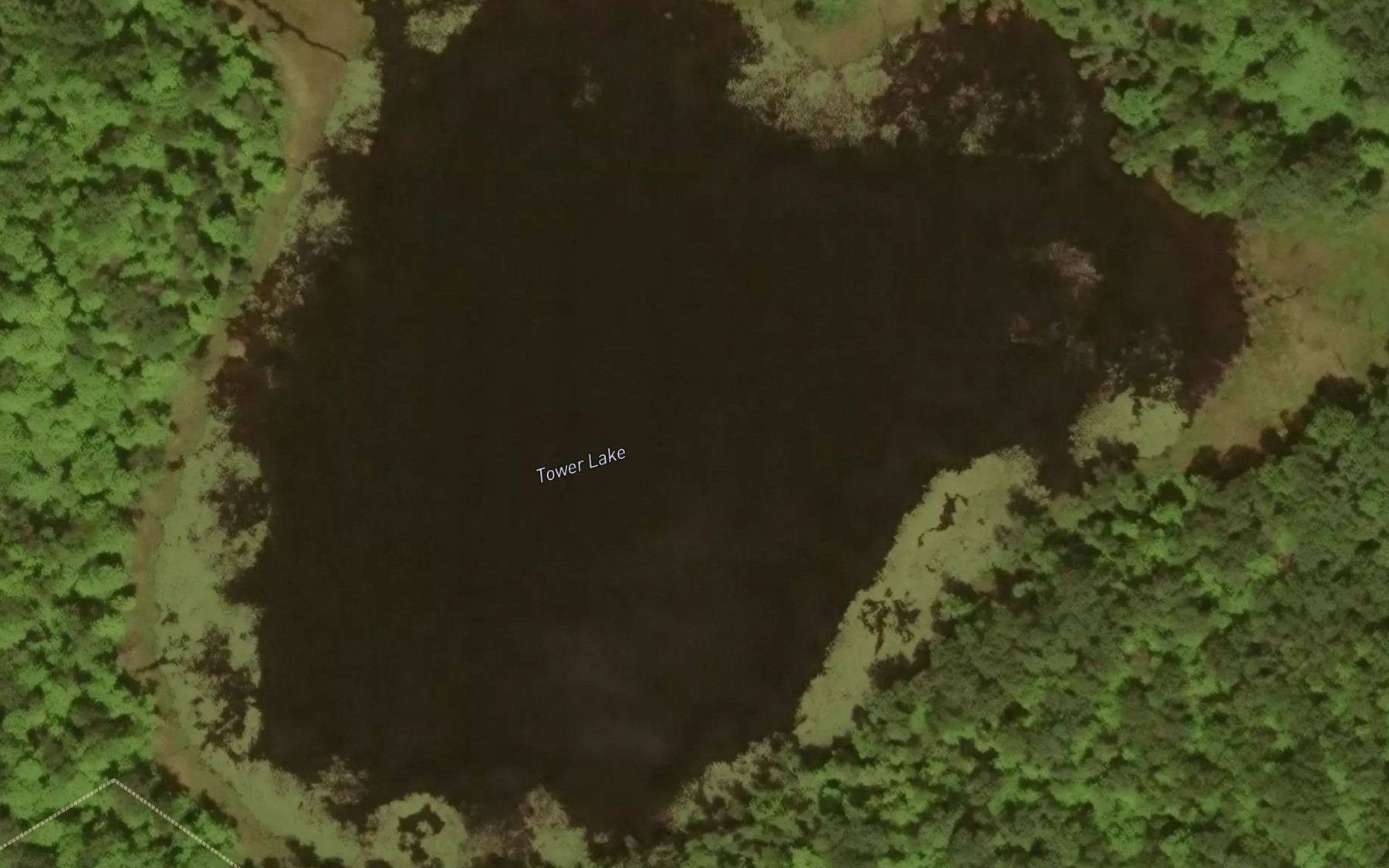 Satellite map of the Tower Lake