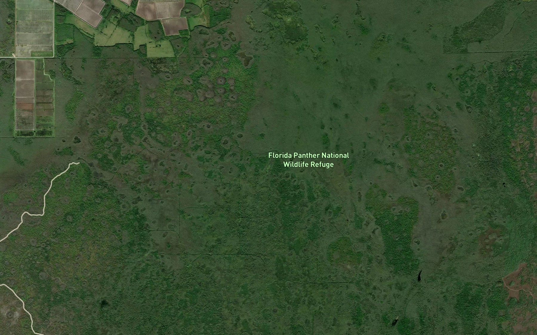 Satellite map of the Wilson Lake