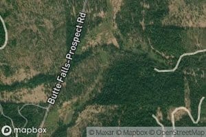 Vine Maple Creek