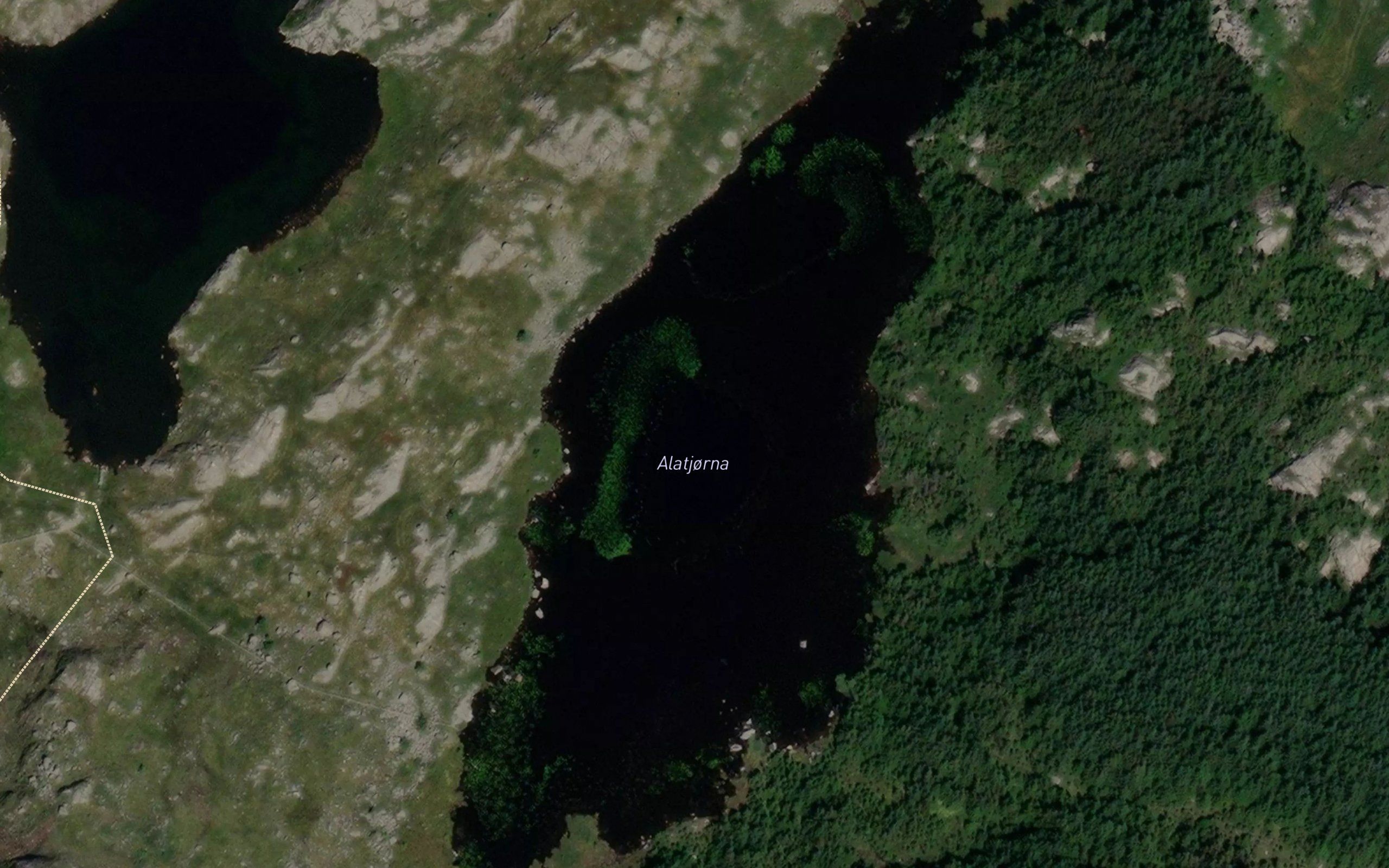 Alatjorna