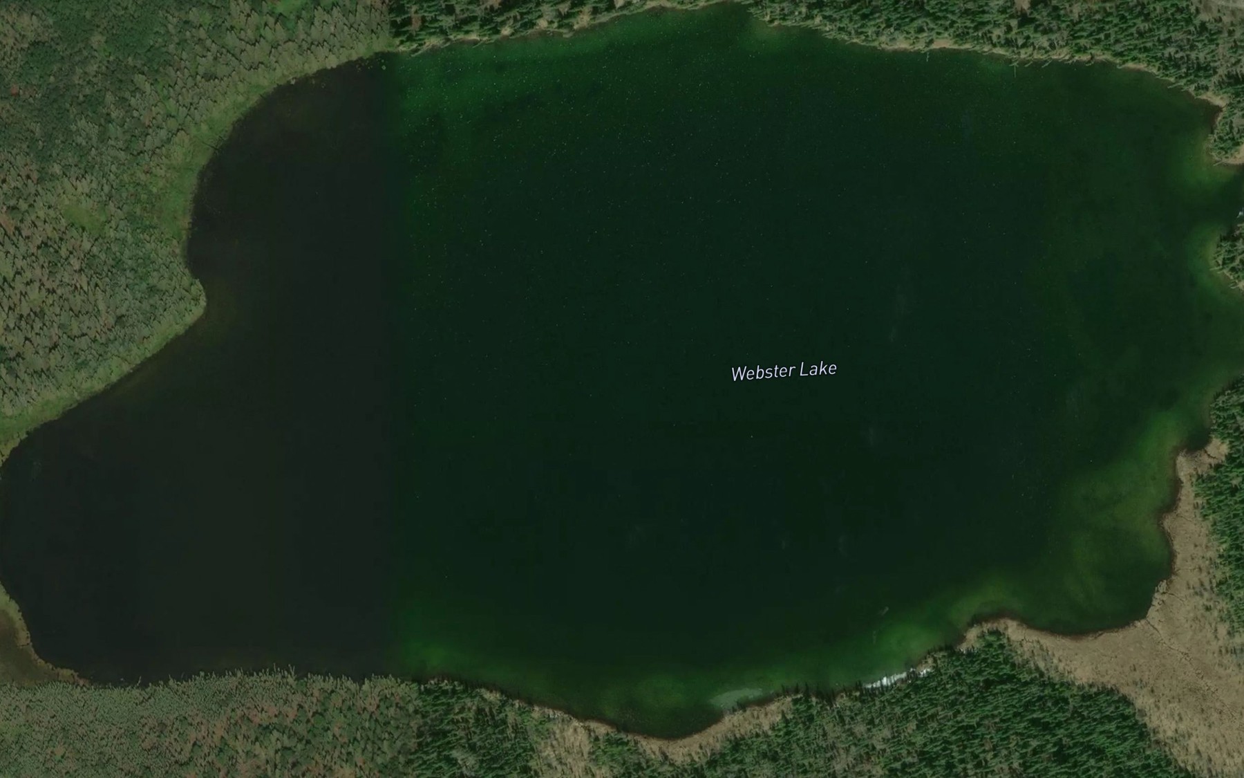 Satellite map of the Webster Lake