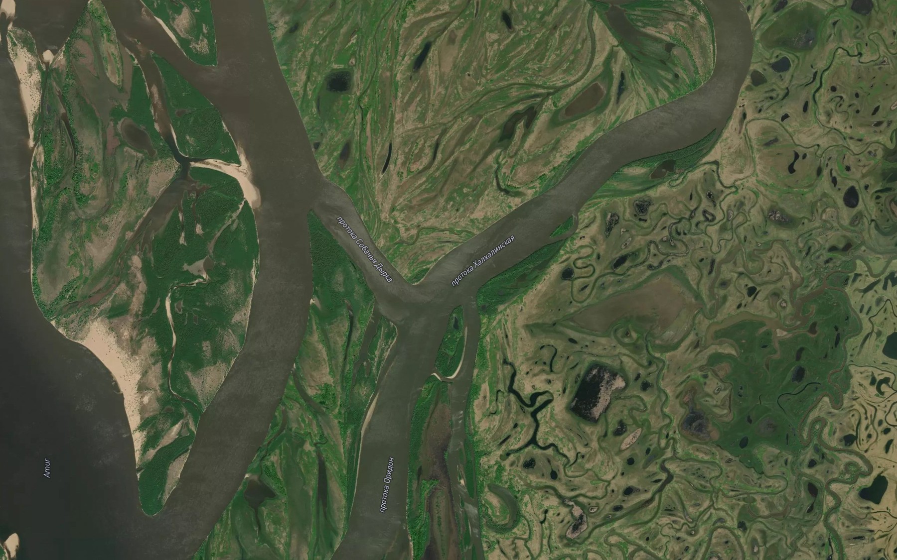 Satellite map of the Protoka Khalkhalinskaya