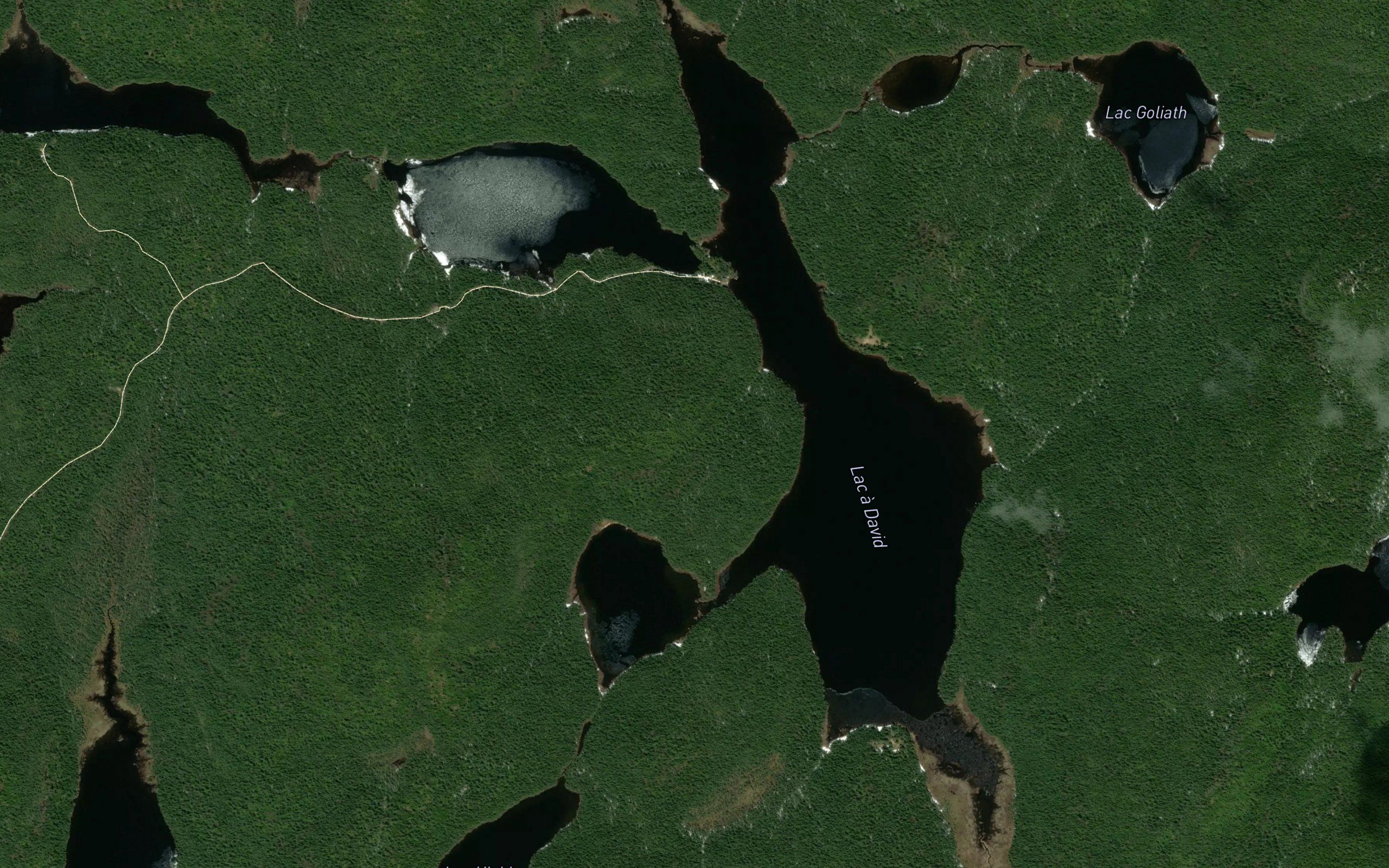Lac a David