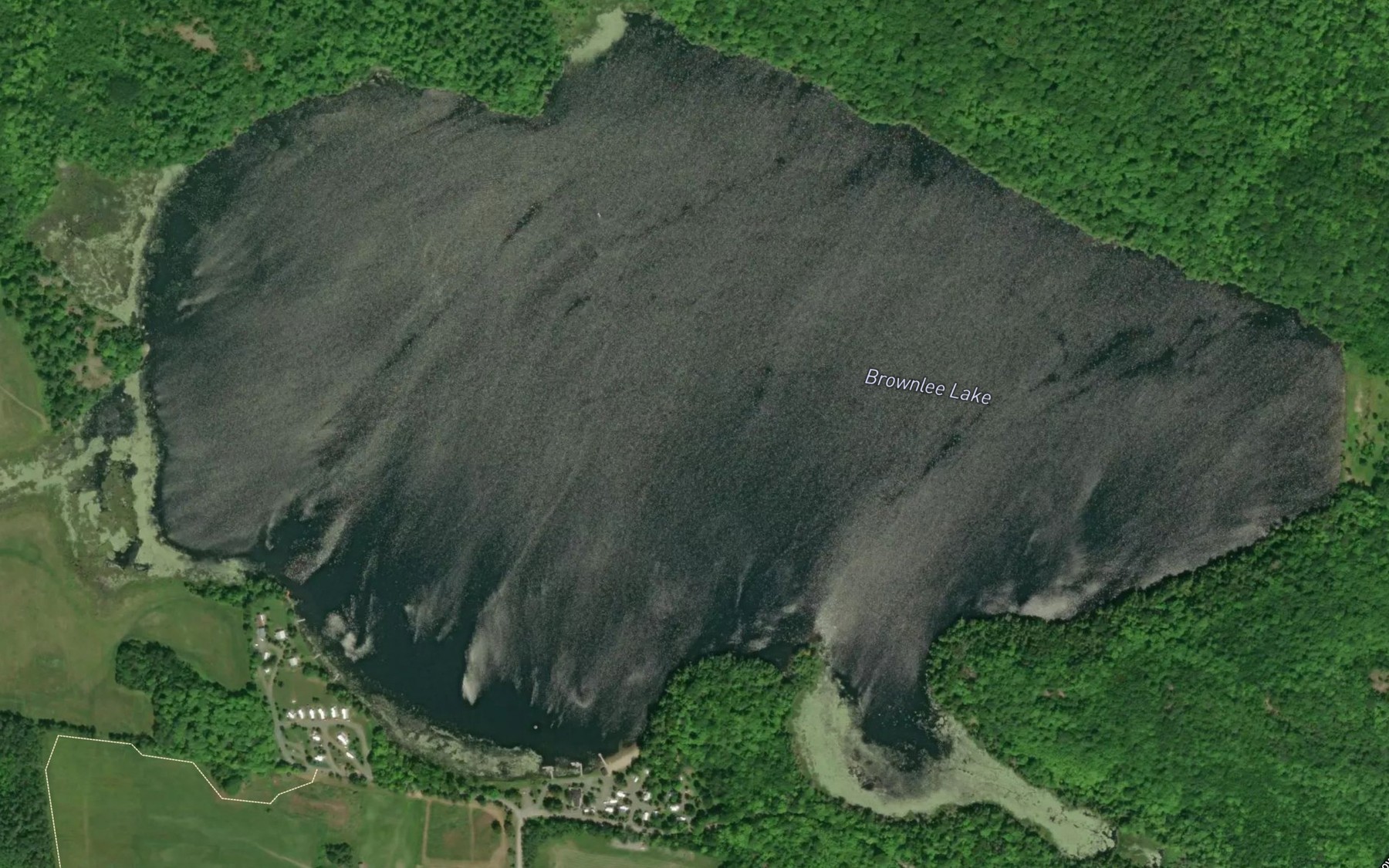 Satellite map of the Brownlee Lake