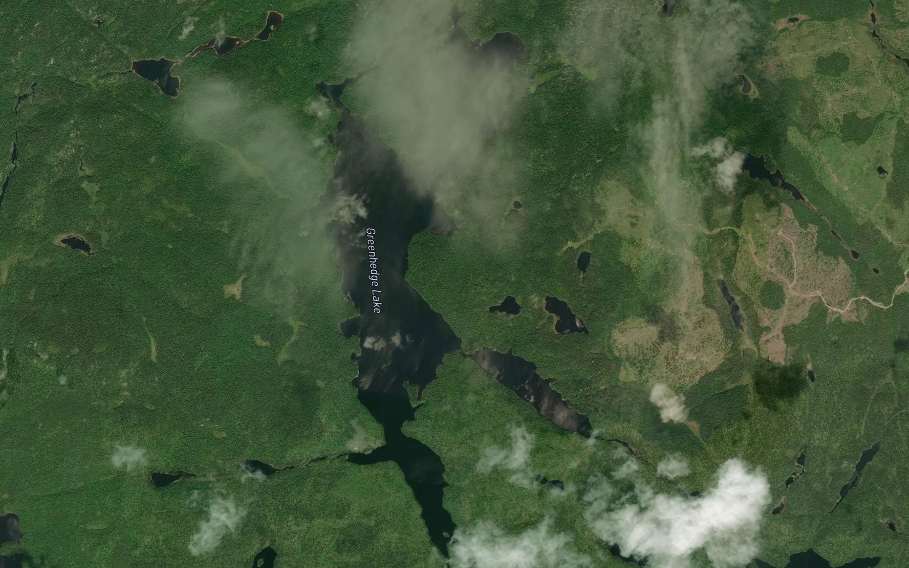 Satellite map of the Greenhedge Lake