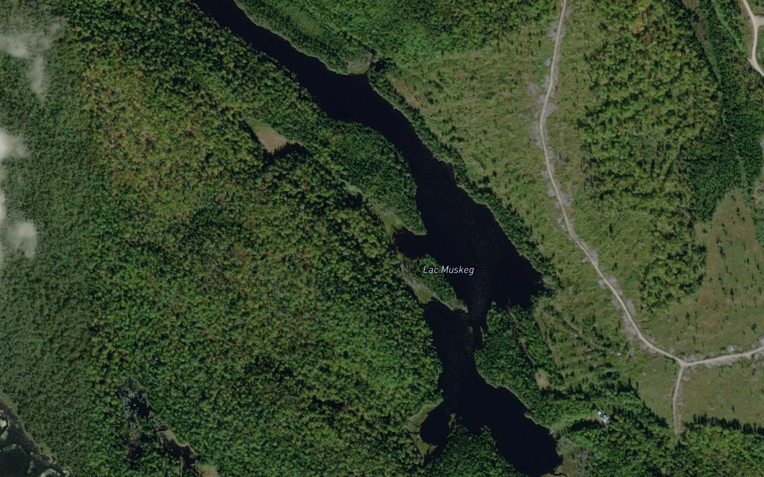 Lac Muskeg