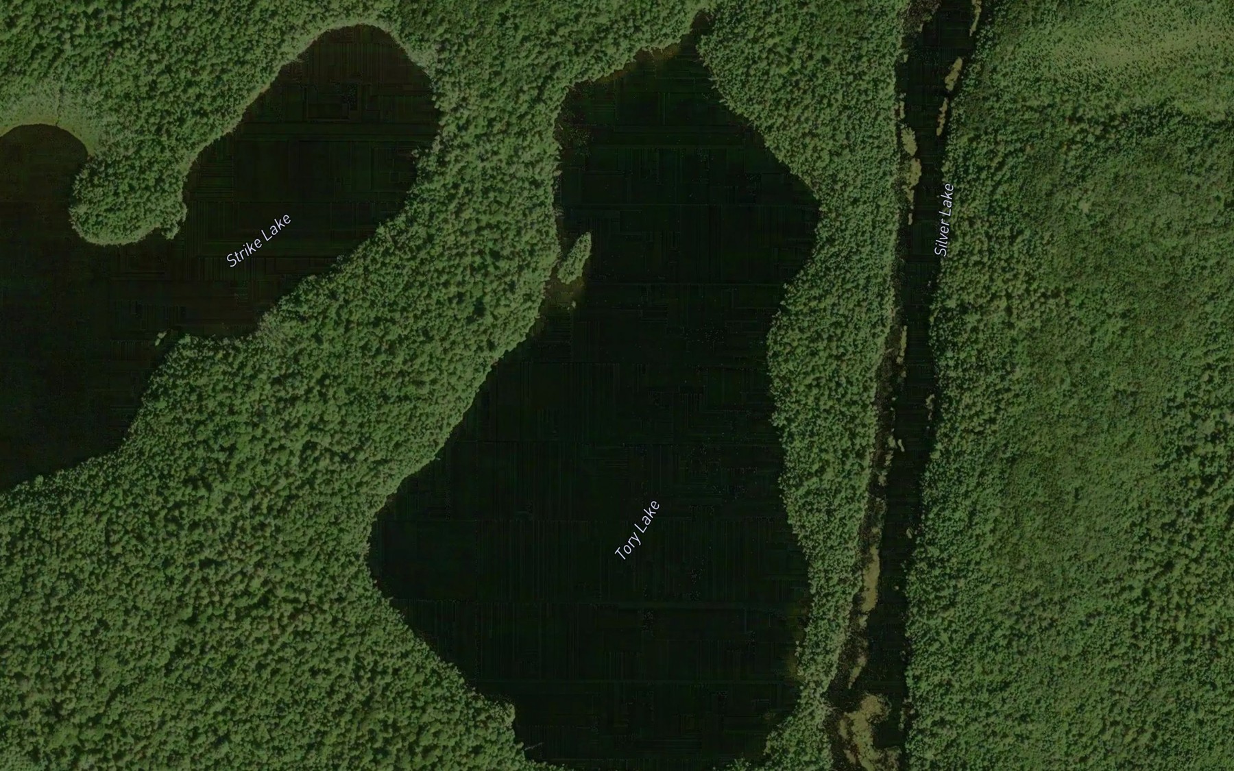 Satellite map of the Tory Lake